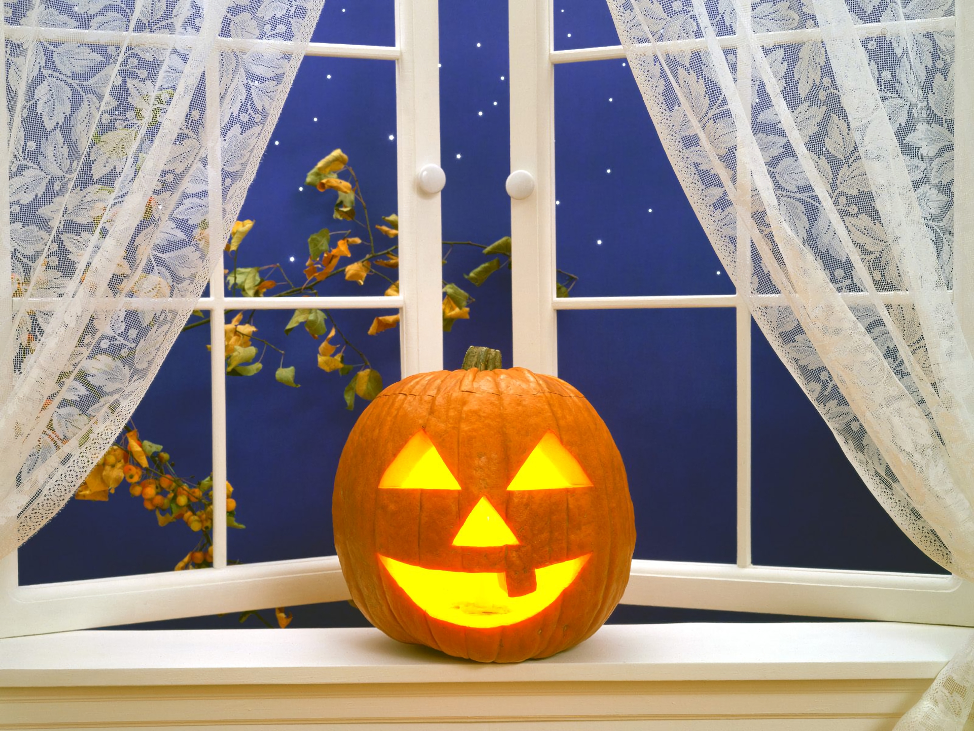Téléchargez des papiers peints mobile Halloween, Citrouille, Vacances, Fenêtre, Rideau, Citrouille D'halloween gratuitement.
