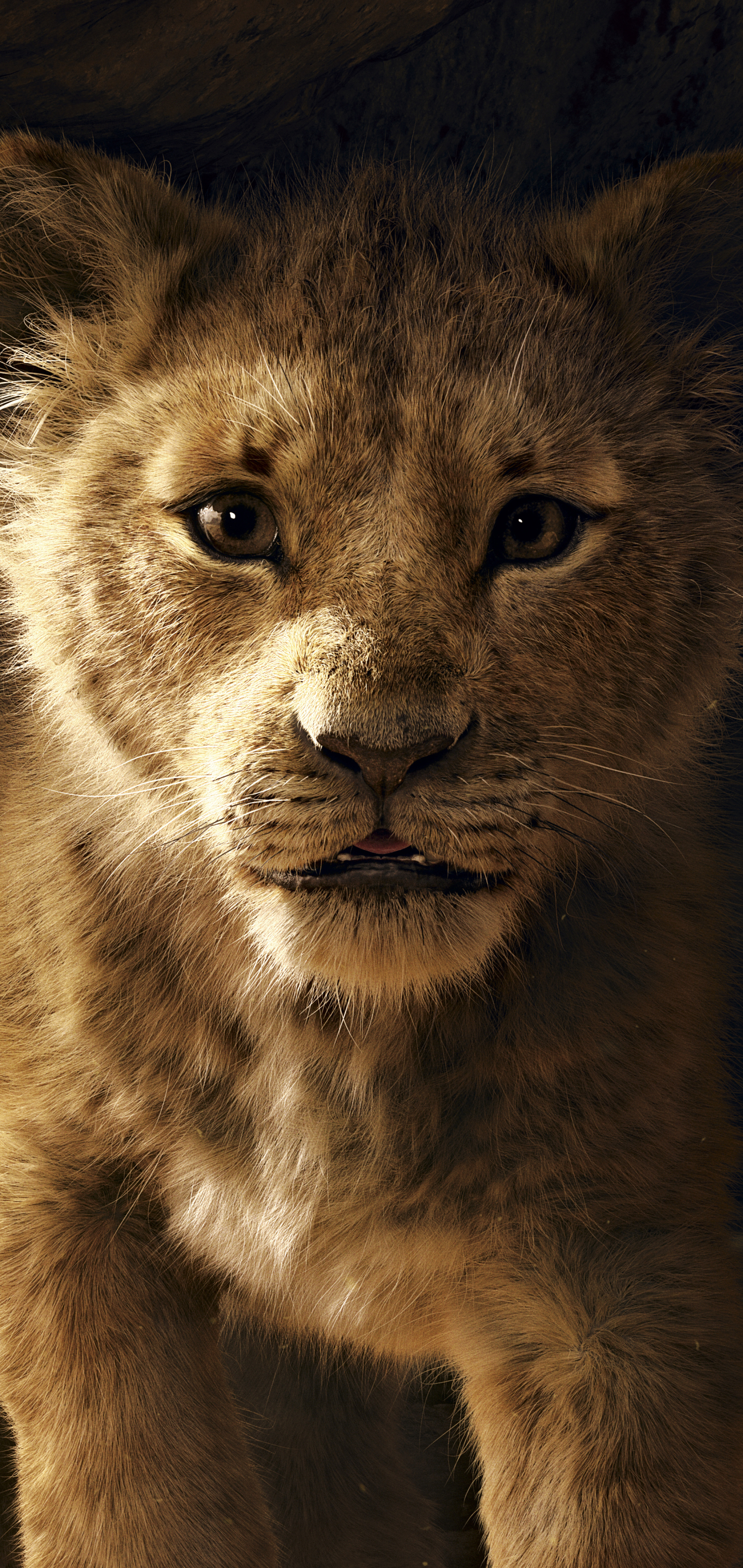 1344302 descargar fondo de pantalla películas, el rey león (2019), simba: protectores de pantalla e imágenes gratis