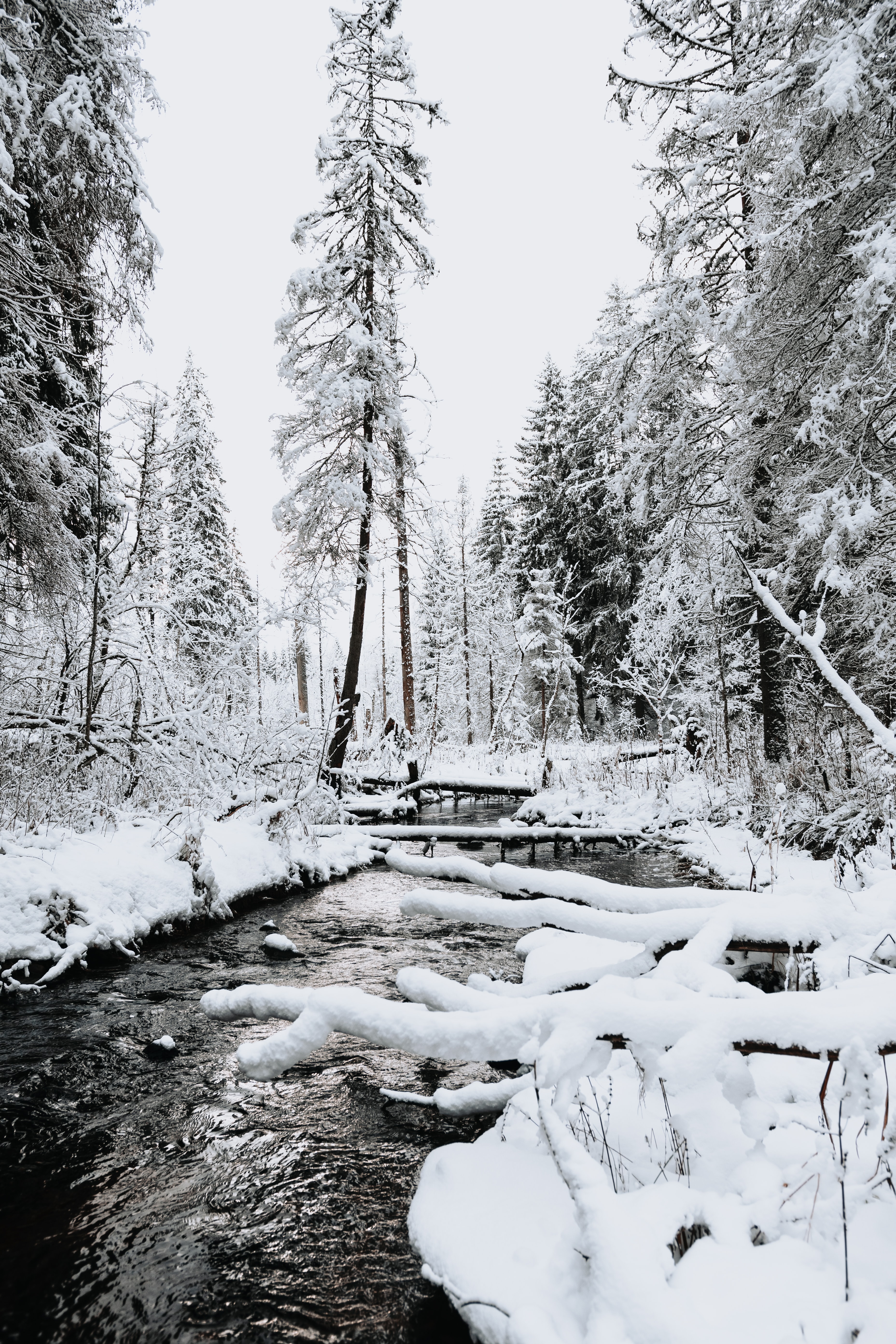 Handy-Wallpaper Bäume, Schnee, Flüsse, Natur, Winter, Landschaft kostenlos herunterladen.