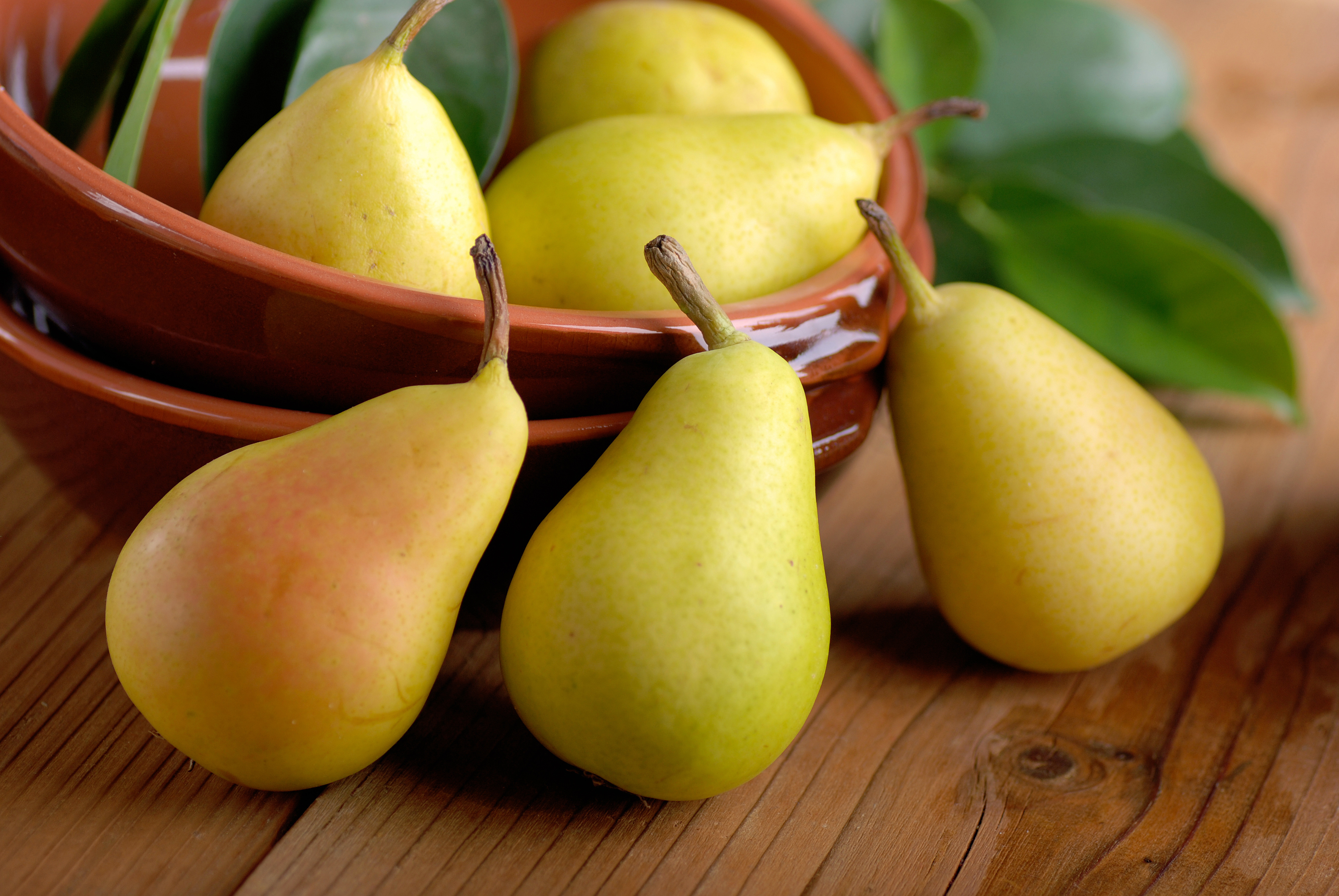 Free download wallpaper Fruits, Food, Fruit, Pear on your PC desktop
