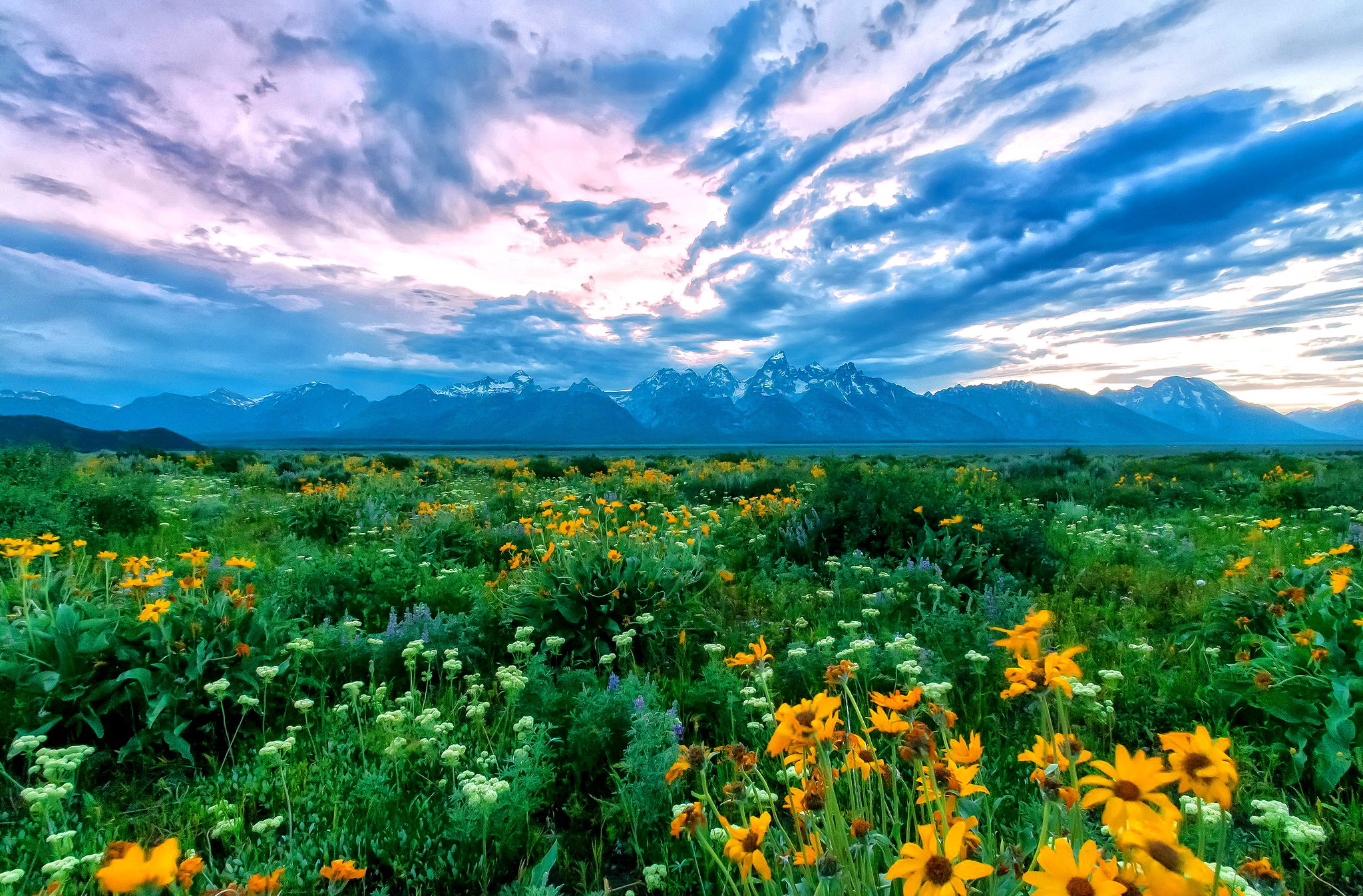 Free download wallpaper Landscape, Mountain, Flower, Earth, Field, Spring on your PC desktop