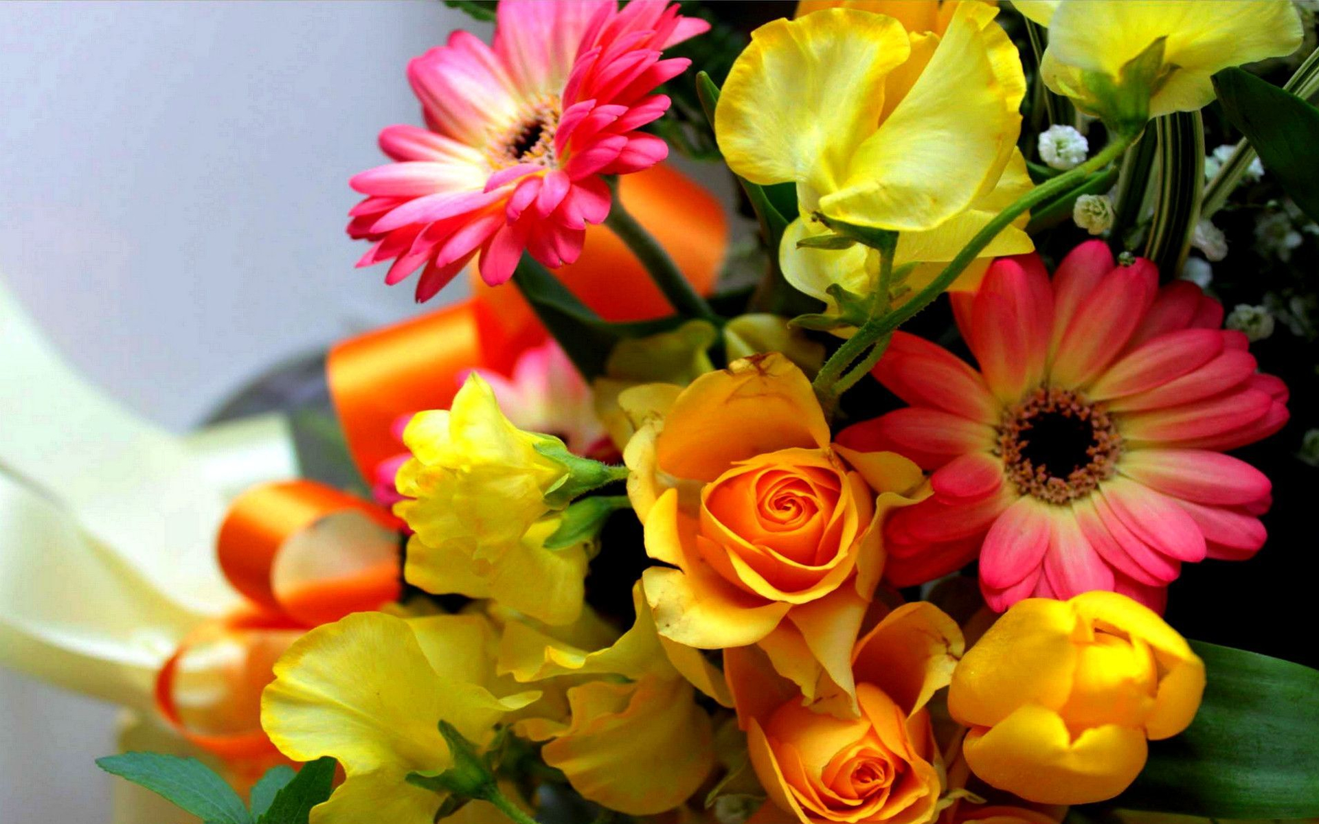 Téléchargez gratuitement l'image Fleurs, Rose, Fleur, Couleurs, Coloré, Gerbera, Terre/nature sur le bureau de votre PC