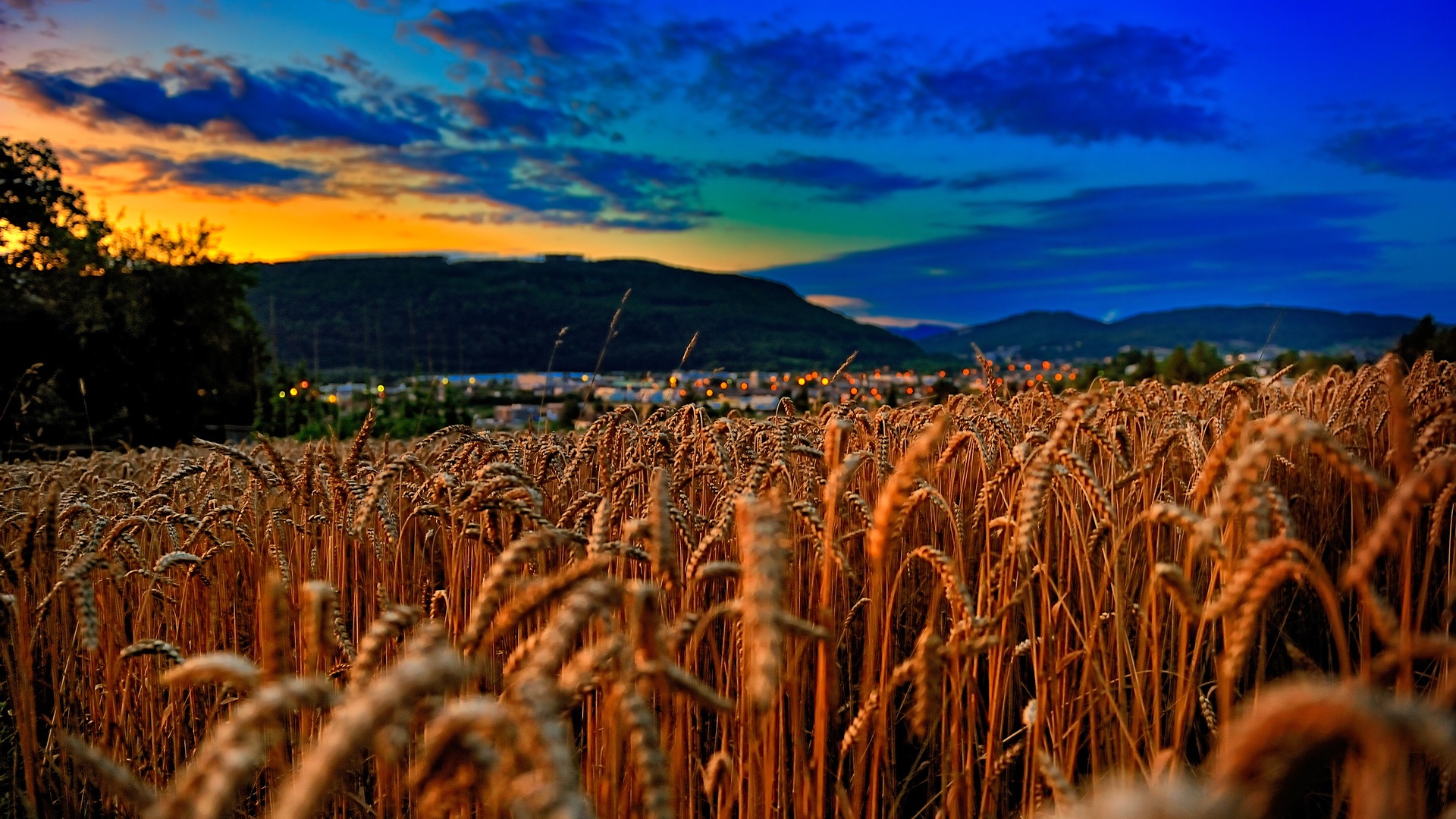 Descarga gratuita de fondo de pantalla para móvil de Campo, Tierra/naturaleza.