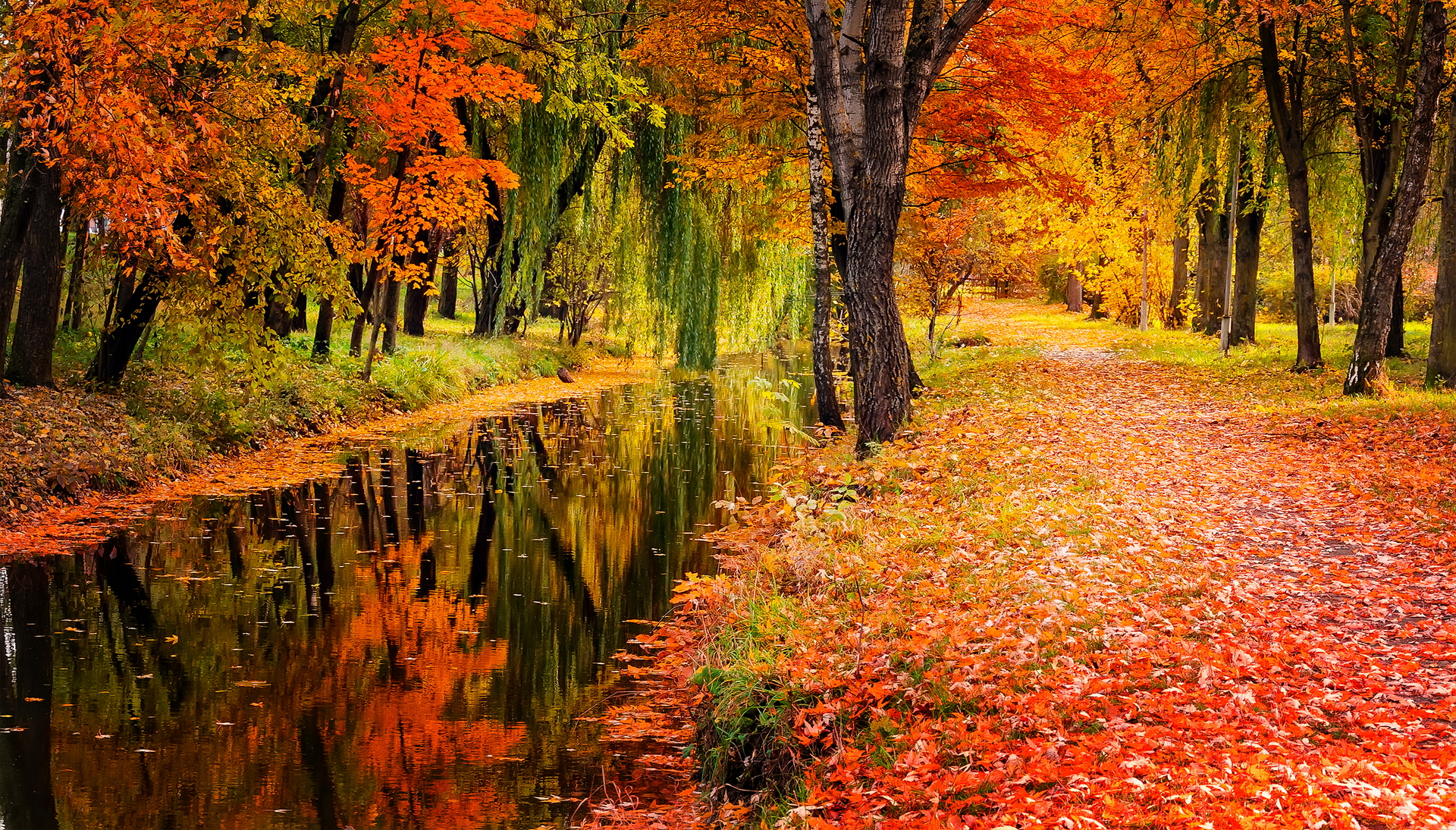 Laden Sie das Herbst, Erde/natur-Bild kostenlos auf Ihren PC-Desktop herunter