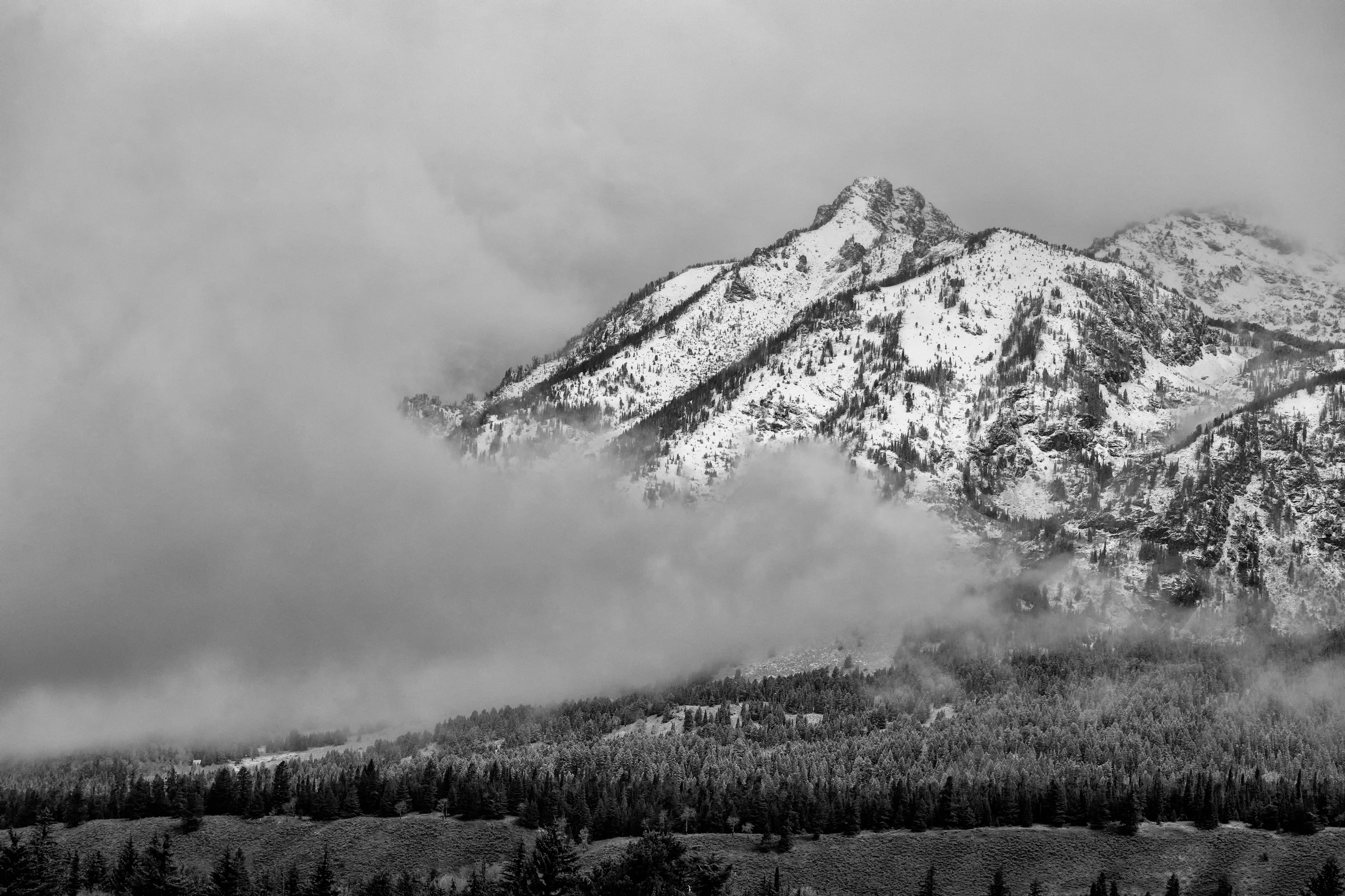 cloud, forest, landscape, nature, snow, mountain, bw, chb Full HD