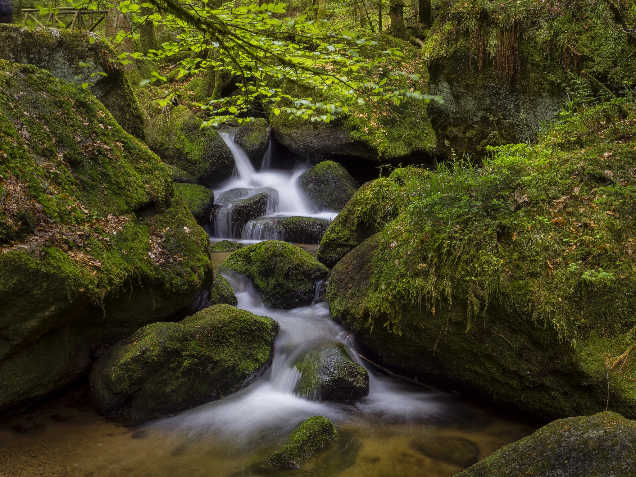 Free download wallpaper Nature, Earth, Moss, Stream on your PC desktop