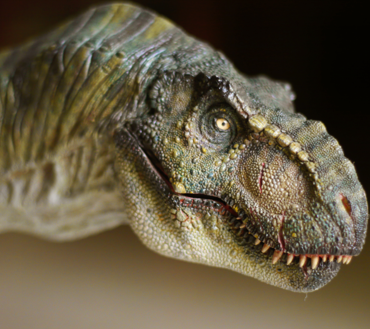 Téléchargez gratuitement l'image Animaux, Dinosaures, Tyrannosaure Rex sur le bureau de votre PC