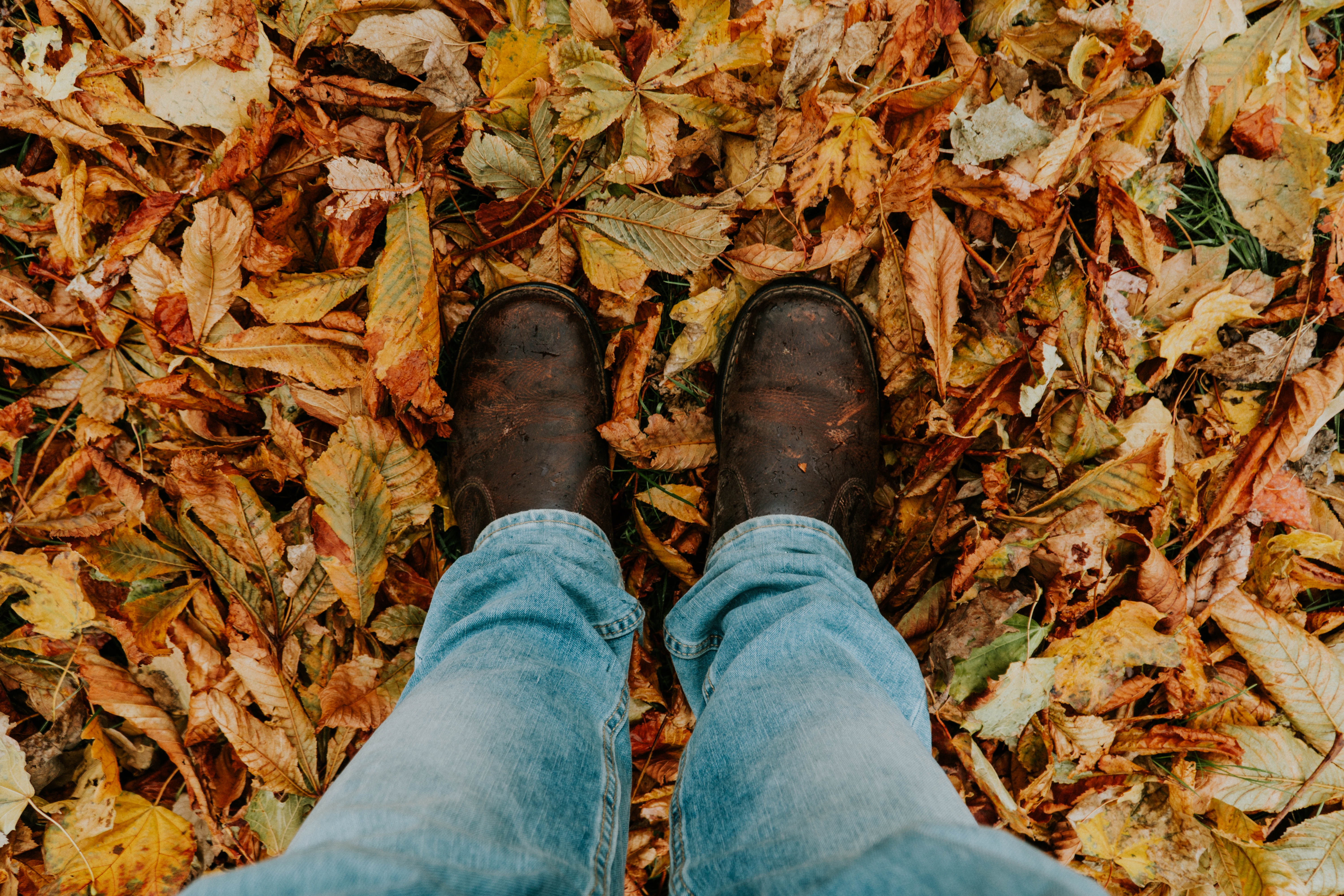 無料モバイル壁紙葉, その他, 下肢, 足, 堕ちた, 落ちて, 雑, 木の葉, 秋をダウンロードします。