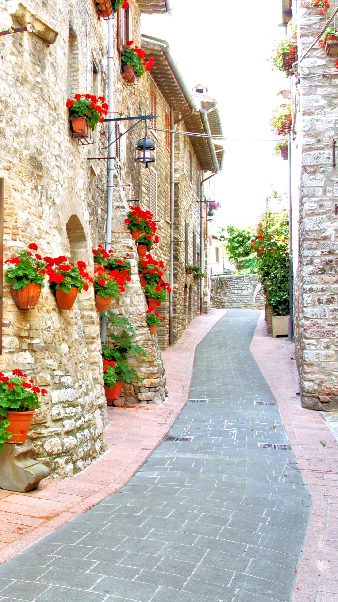 Handy-Wallpaper Italien, Blume, Haus, Rote Blume, Menschengemacht, Innerortsstraße kostenlos herunterladen.