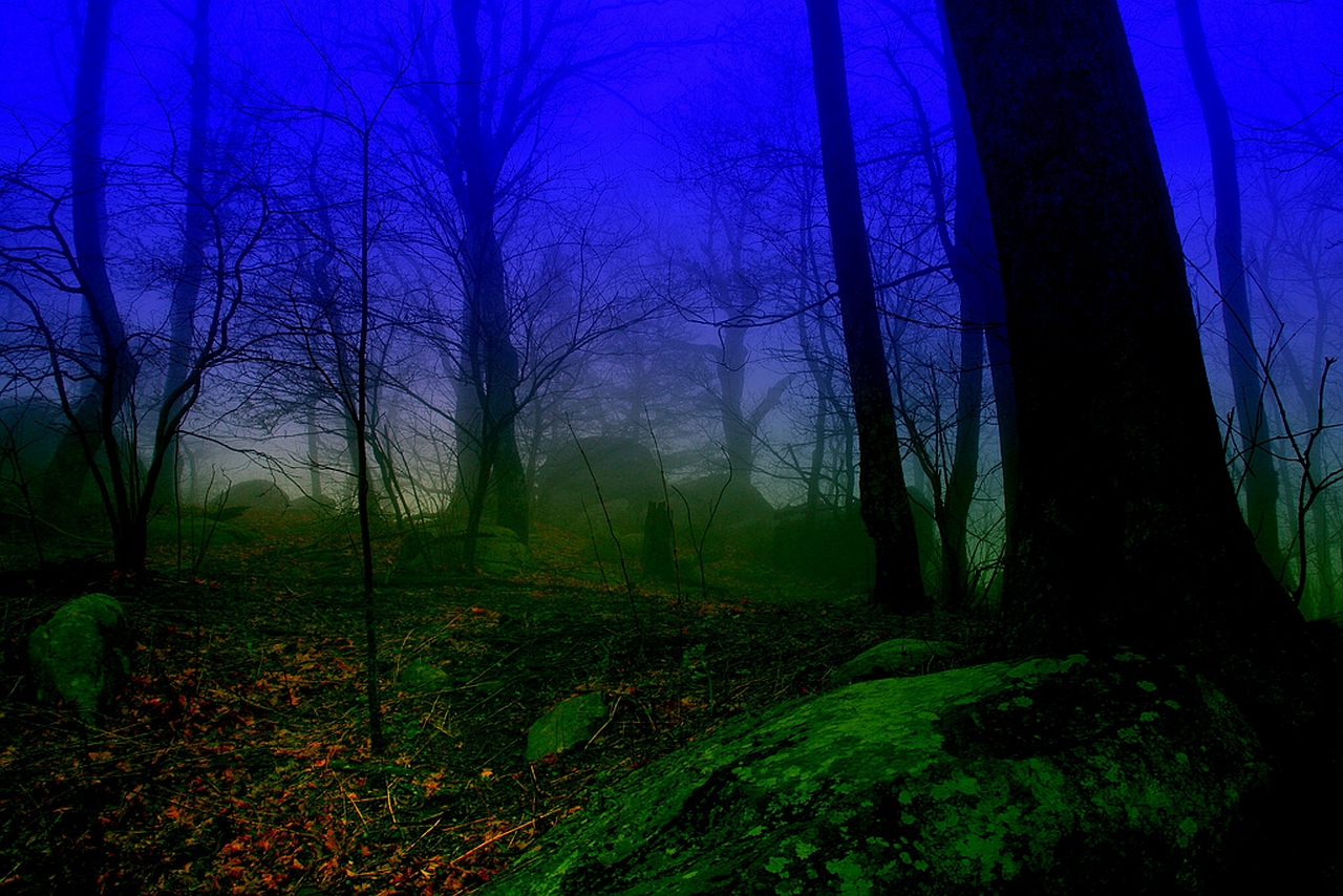 Laden Sie das Nebel, Erde/natur-Bild kostenlos auf Ihren PC-Desktop herunter