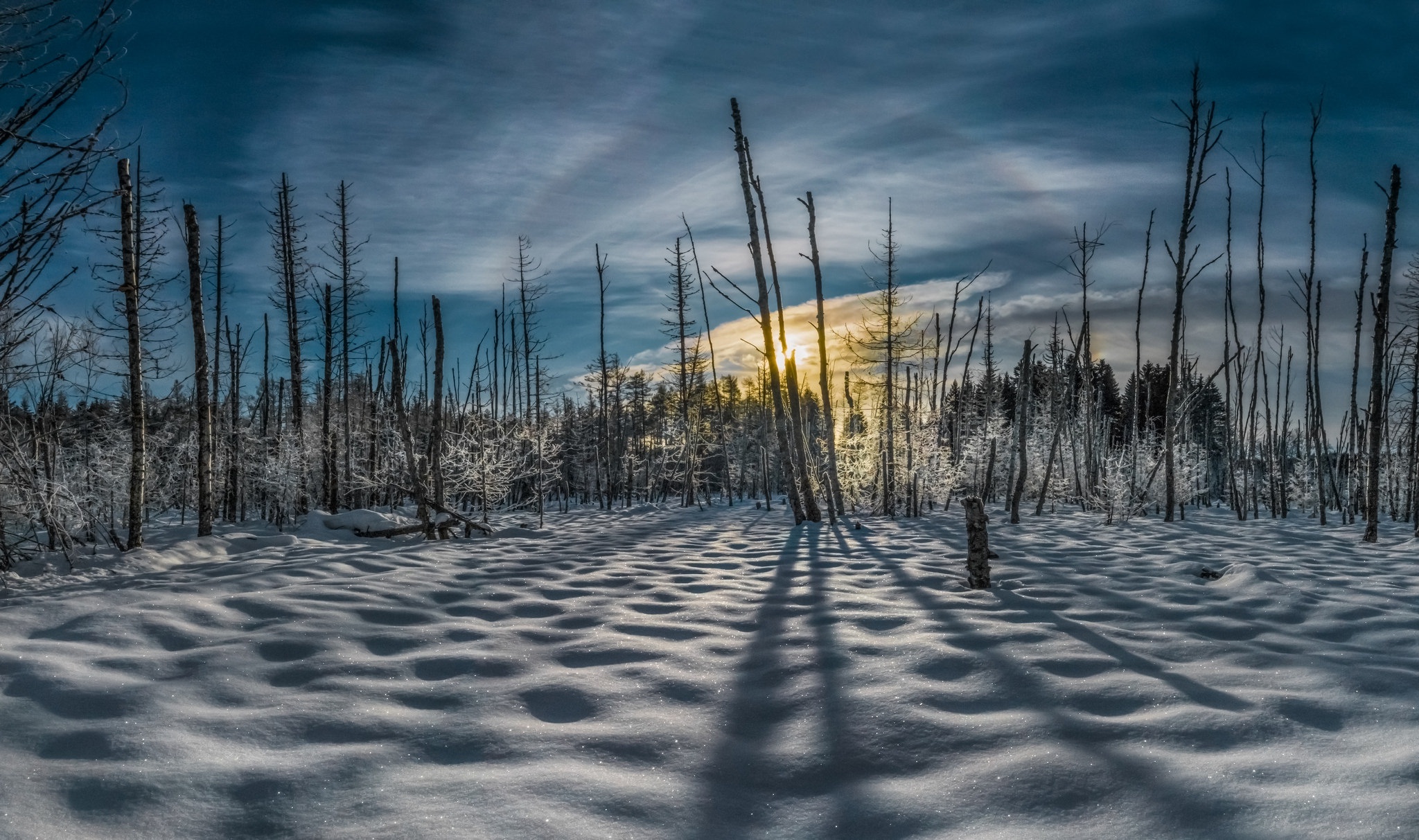 Descarga gratis la imagen Invierno, Naturaleza, Nieve, Tierra/naturaleza en el escritorio de tu PC