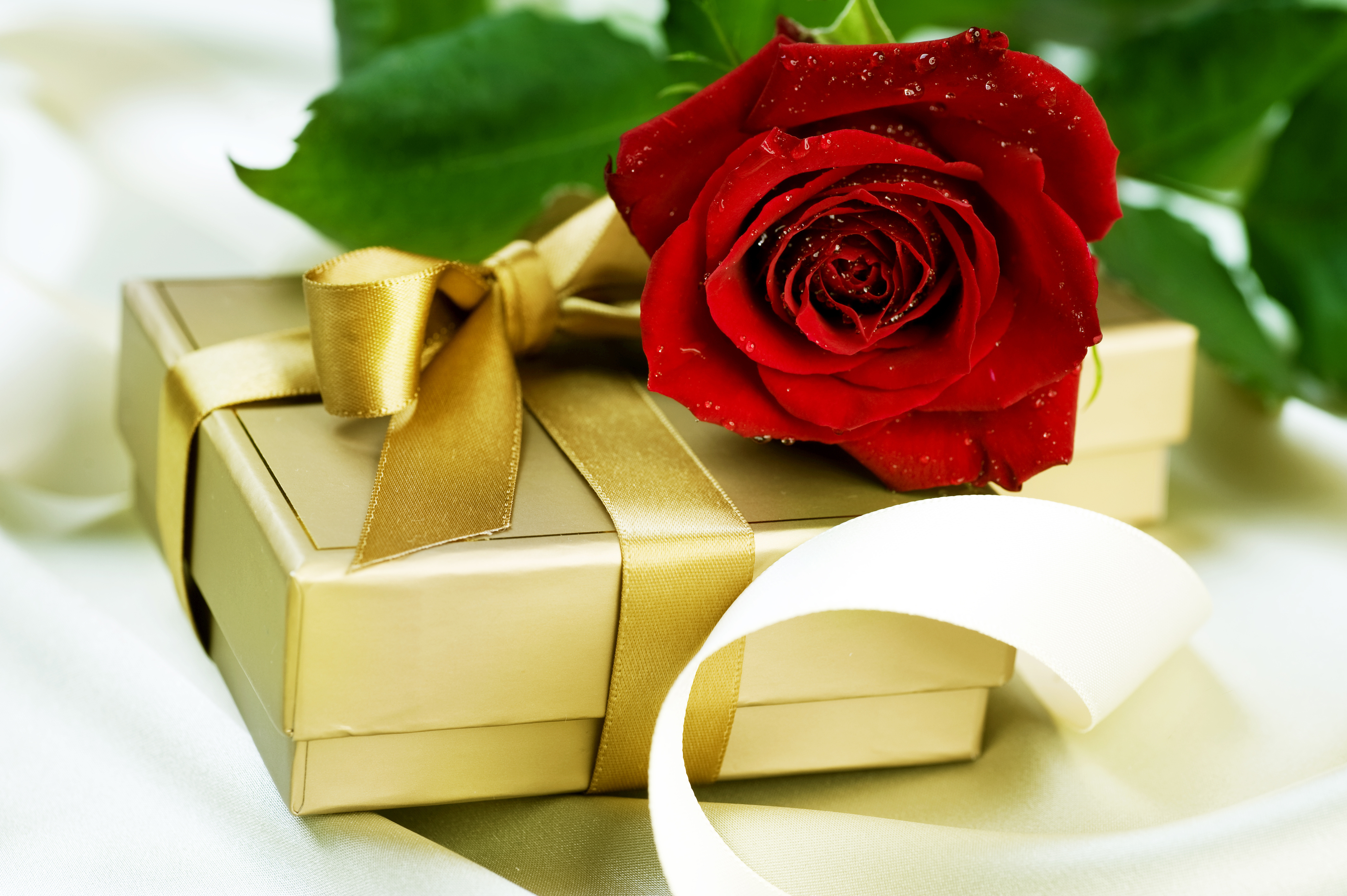 Download mobile wallpaper Box, Gift, Red Rose, Water Drop, Misc for free.