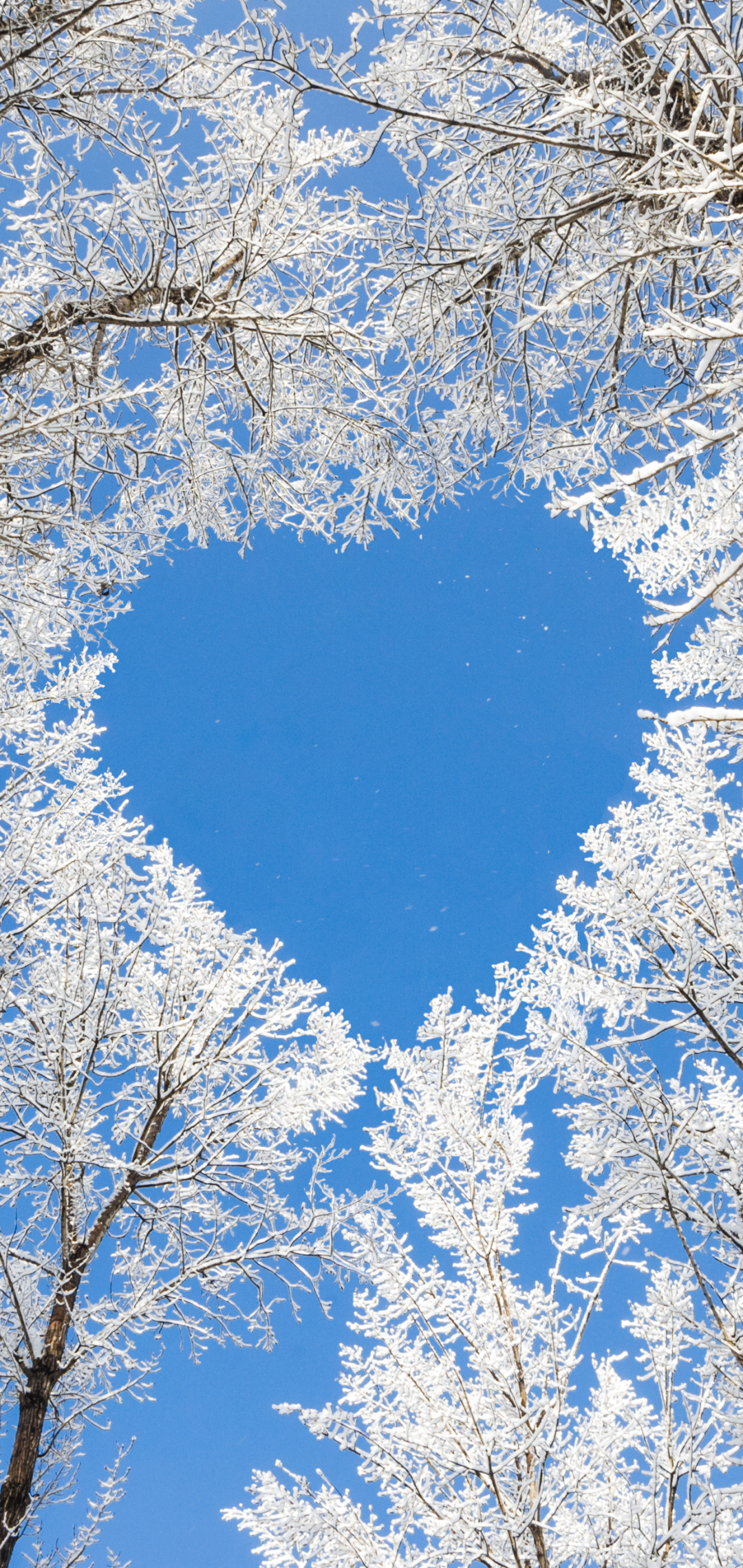 Download mobile wallpaper Winter, Nature, Earth, Heart Shaped for free.