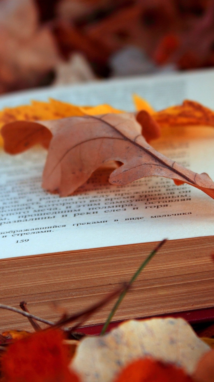 Download mobile wallpaper Nature, Leaf, Fall, Book, Mood, Season, Man Made for free.