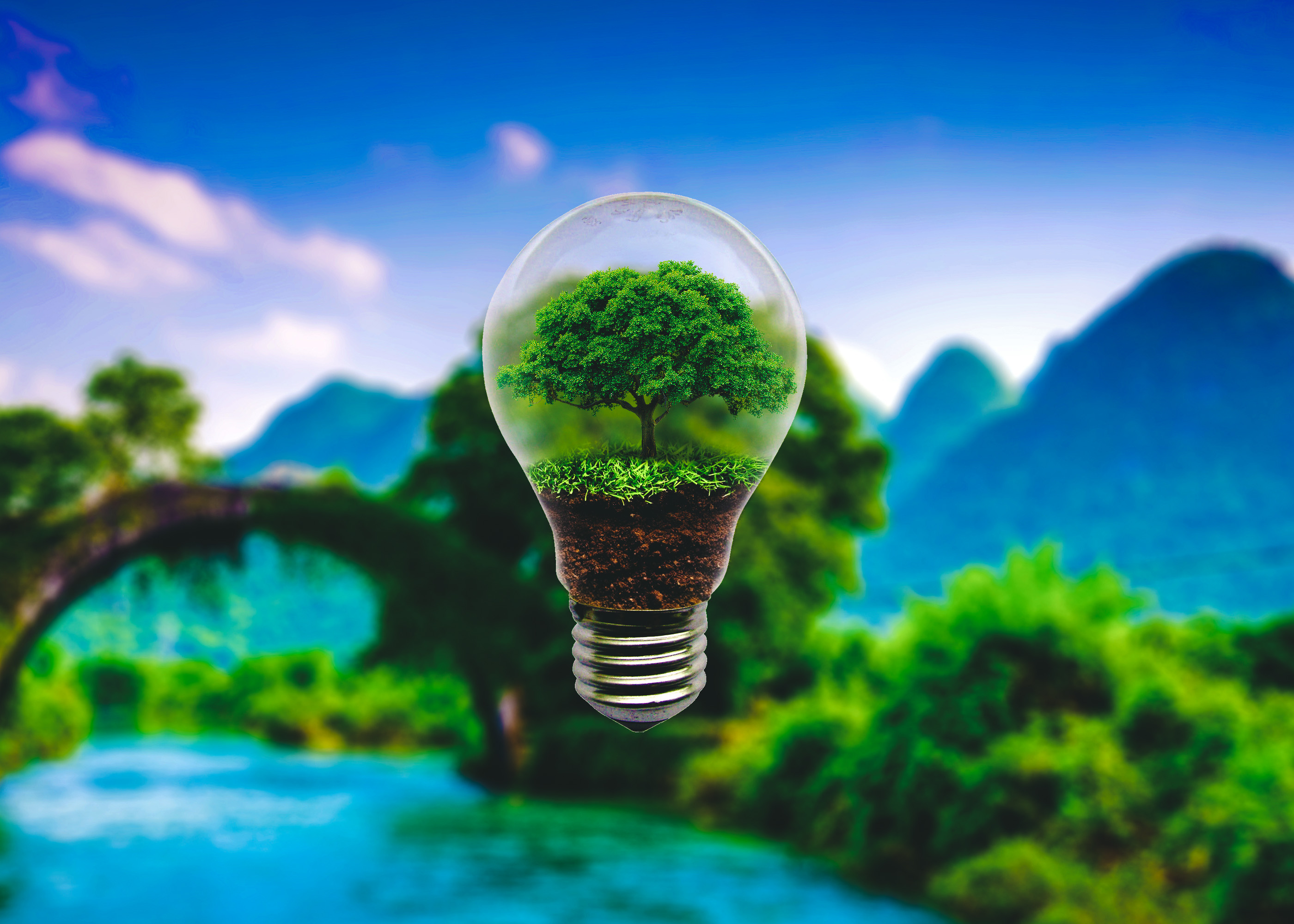 Download mobile wallpaper Nature, Tree, Light Bulb, Man Made, Manipulation for free.