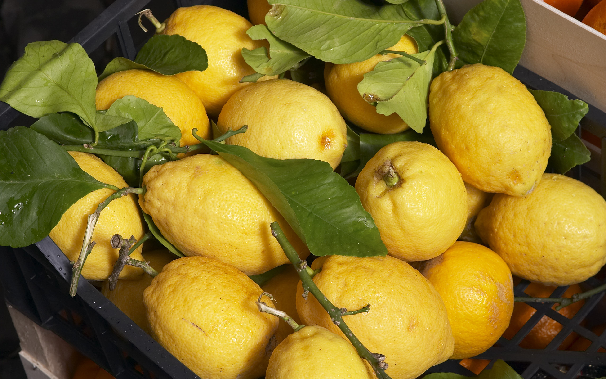 12770 скачать обои лимоны, фрукты, еда, желтые - заставки и картинки бесплатно