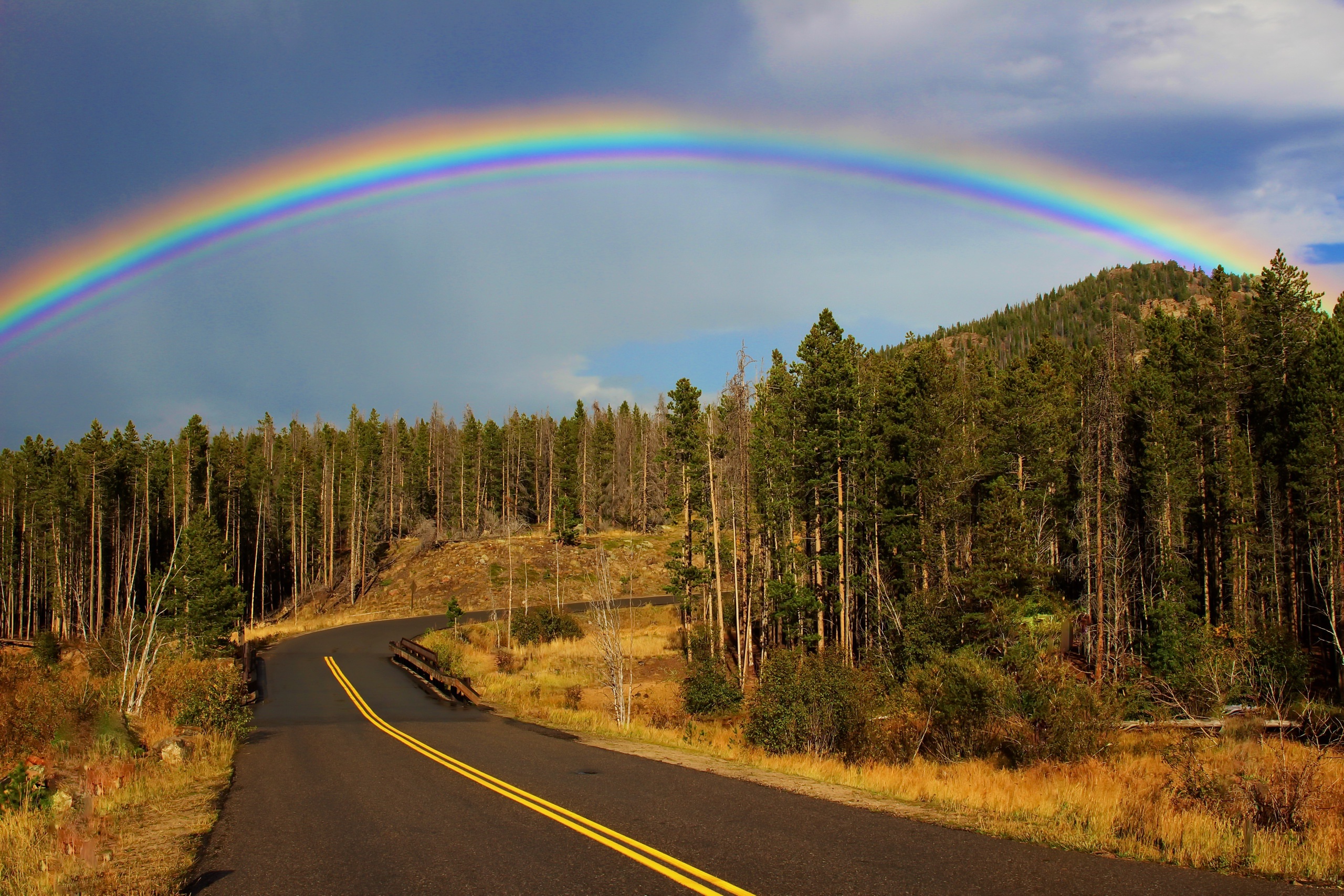 Free download wallpaper Rainbow, Road, Forest, Tree, Man Made on your PC desktop