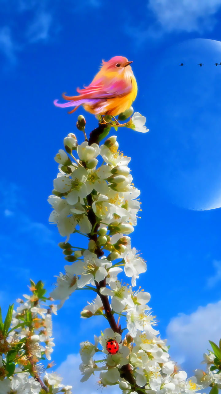 Скачати мобільні шпалери Квітка, Птах, Цвітіння, Весна, Художній безкоштовно.