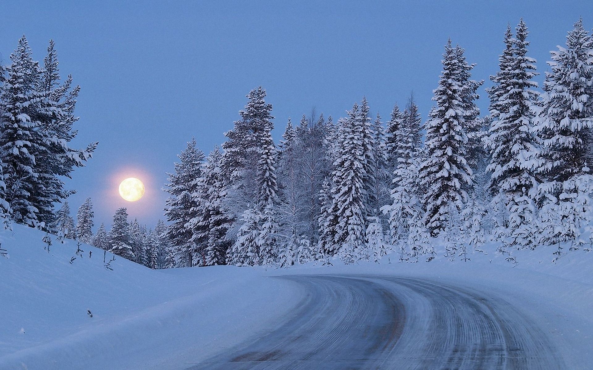 nature, trees, sky, night, snow, road, forest, full moon, climb, lift