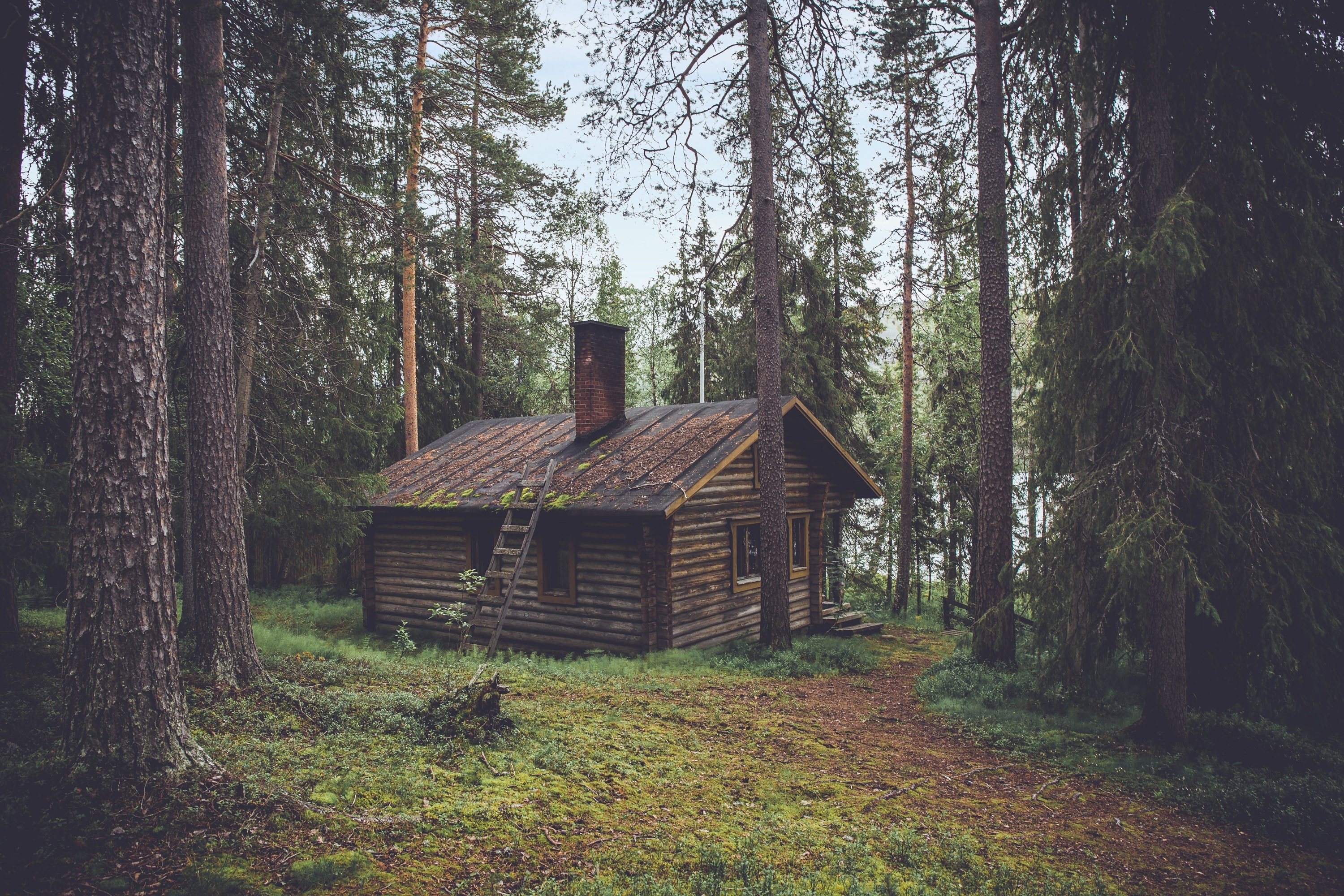 Laden Sie das Lodge, Wald, Kleines Haus, Natur, Sommer-Bild kostenlos auf Ihren PC-Desktop herunter