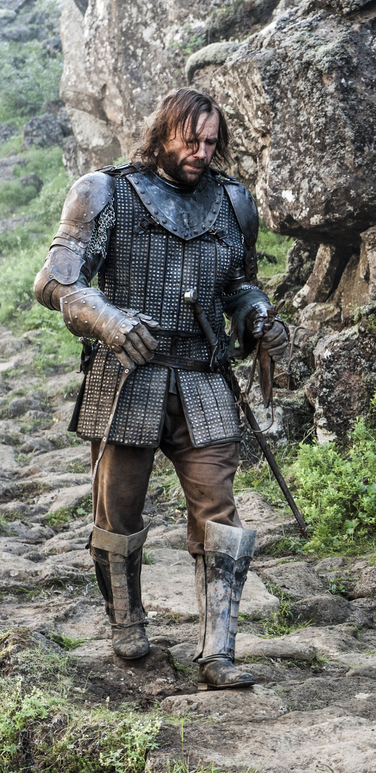 Descarga gratuita de fondo de pantalla para móvil de Juego De Tronos, Series De Televisión, Rory Mccann, Sándor Clegane.