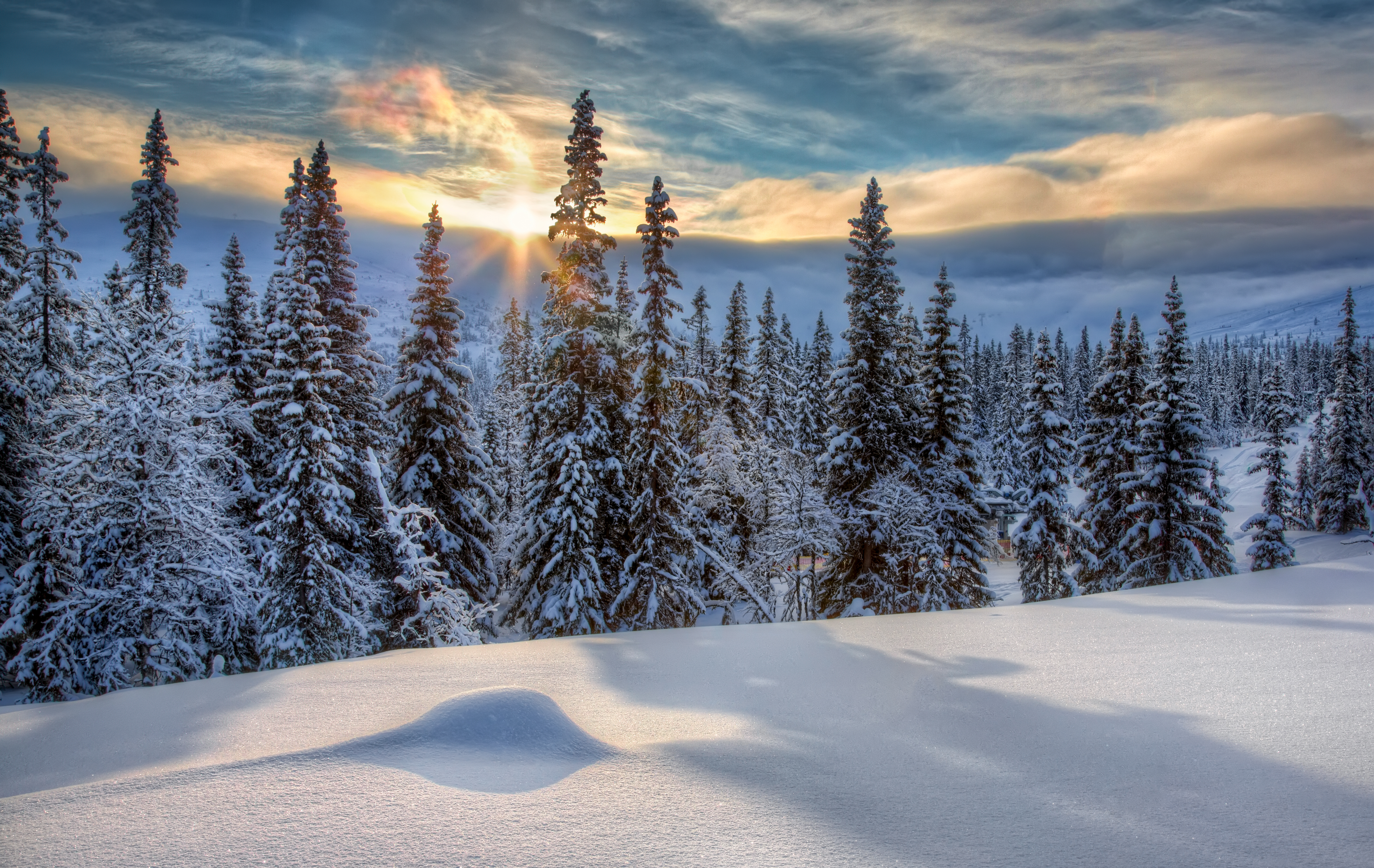 Download mobile wallpaper Winter, Sunset, Snow, Forest, Tree, Earth for free.