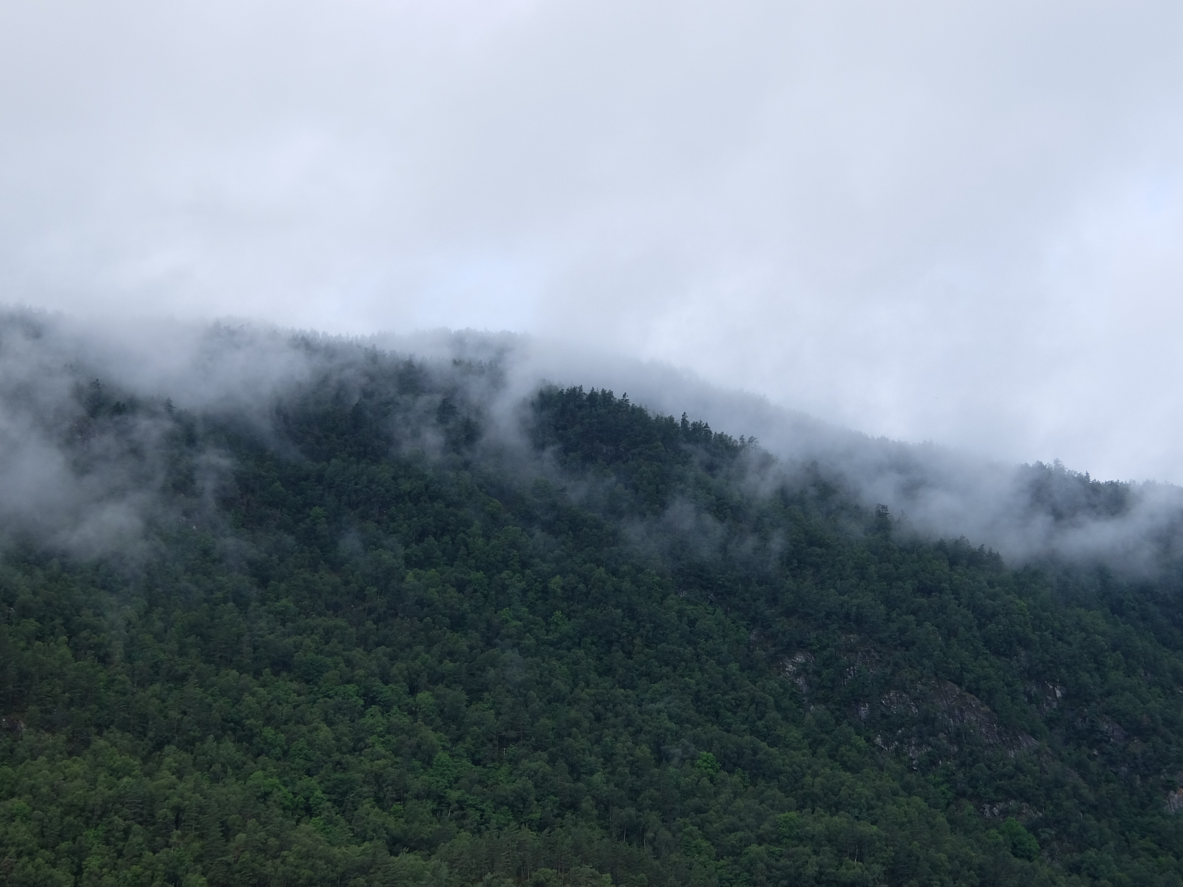 Скачать картинку Туман, Деревья, Горы, Природа в телефон бесплатно.