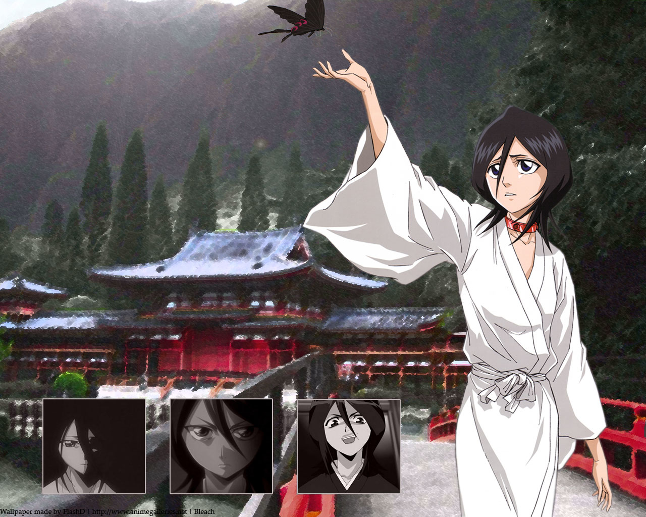 Téléchargez gratuitement l'image Bleach, Animé, Rukia Kuchiki sur le bureau de votre PC