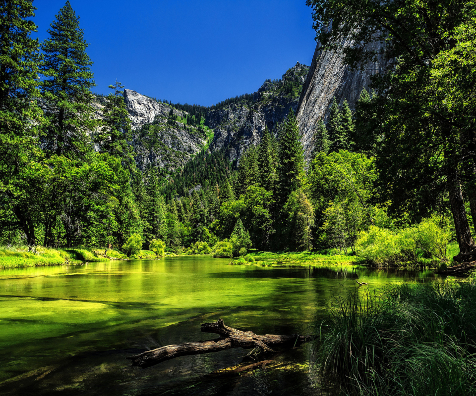 Download mobile wallpaper Nature, Mountain, Lake, Forest, Earth, California, National Park, Yosemite National Park for free.