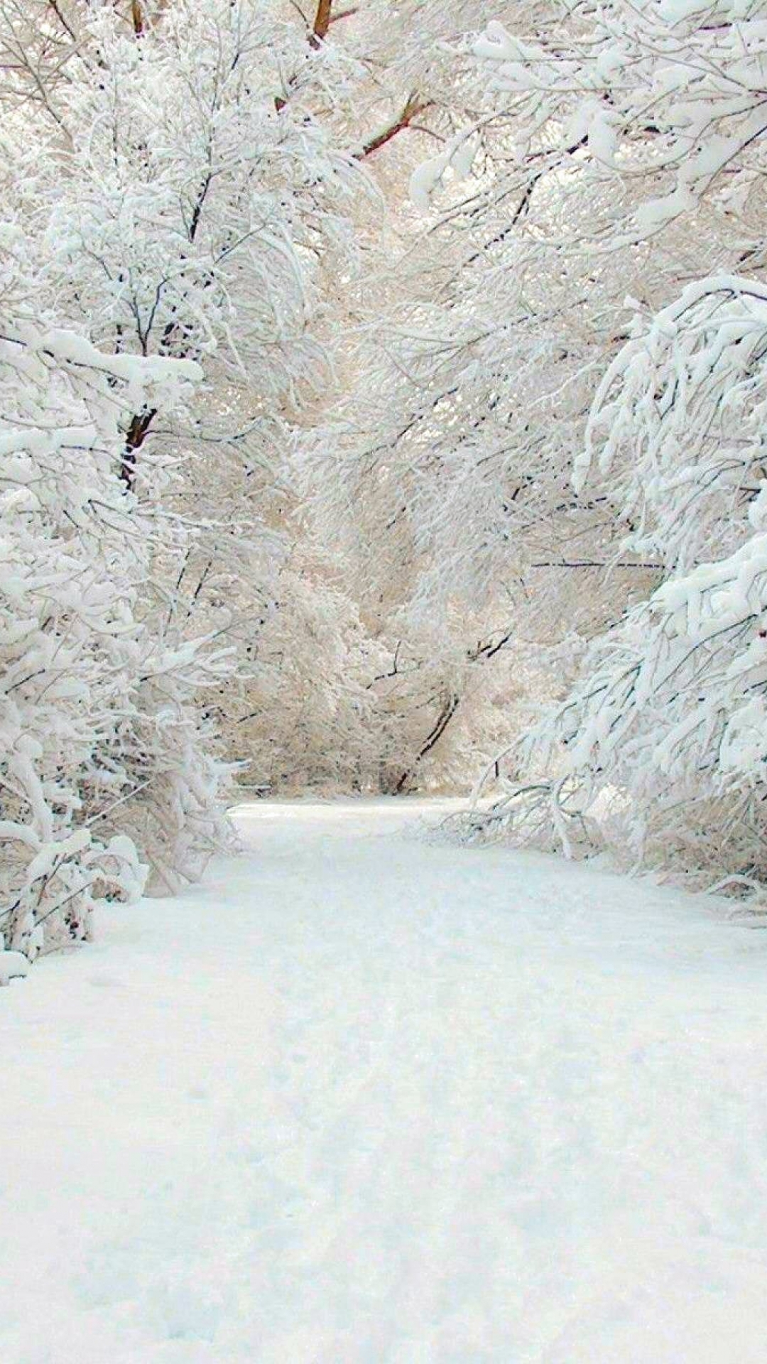 Descarga gratuita de fondo de pantalla para móvil de Invierno, Tierra/naturaleza.