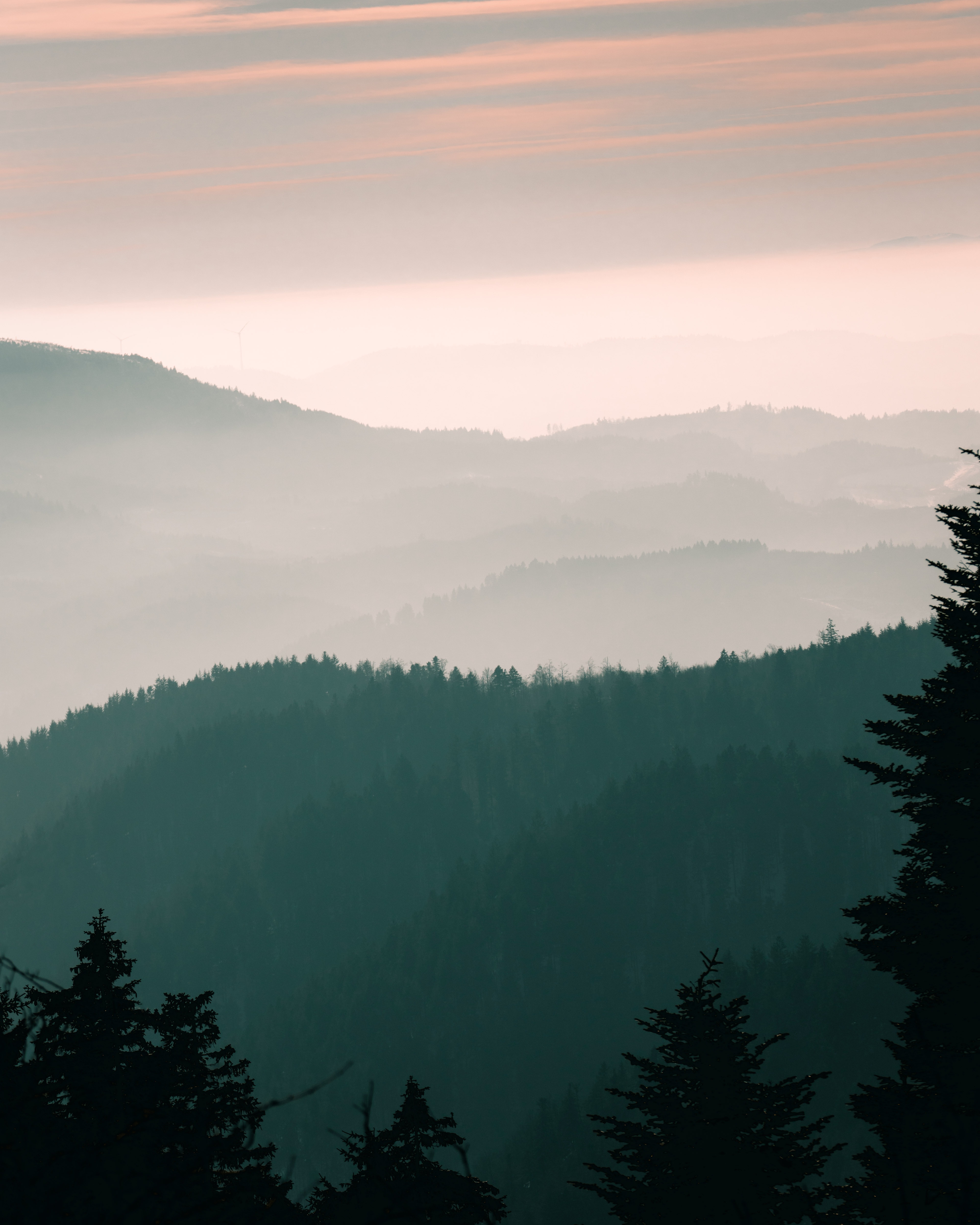 PCデスクトップに木, スカイ, 山脈, 霧, 自然, 夜明け画像を無料でダウンロード