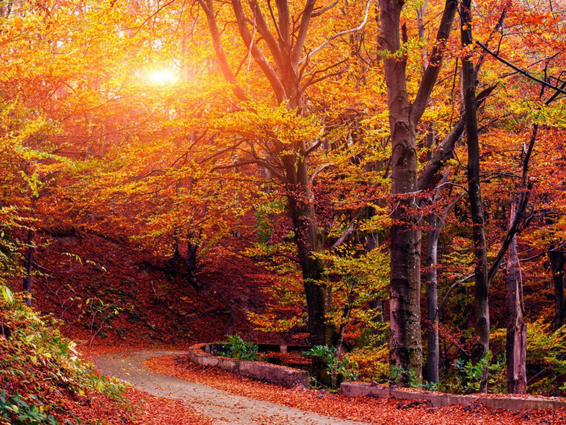 Téléchargez gratuitement l'image Automne, Terre/nature sur le bureau de votre PC