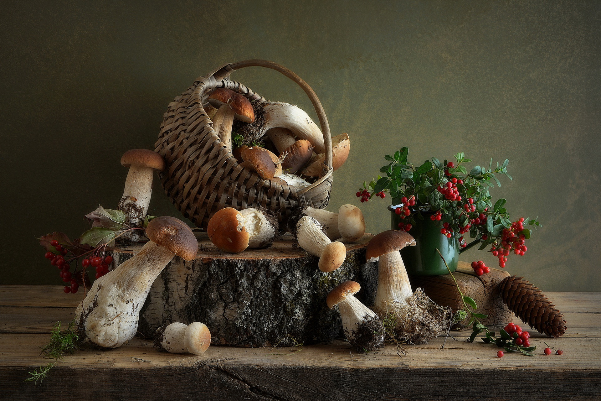 Free download wallpaper Still Life, Mushroom, Photography on your PC desktop