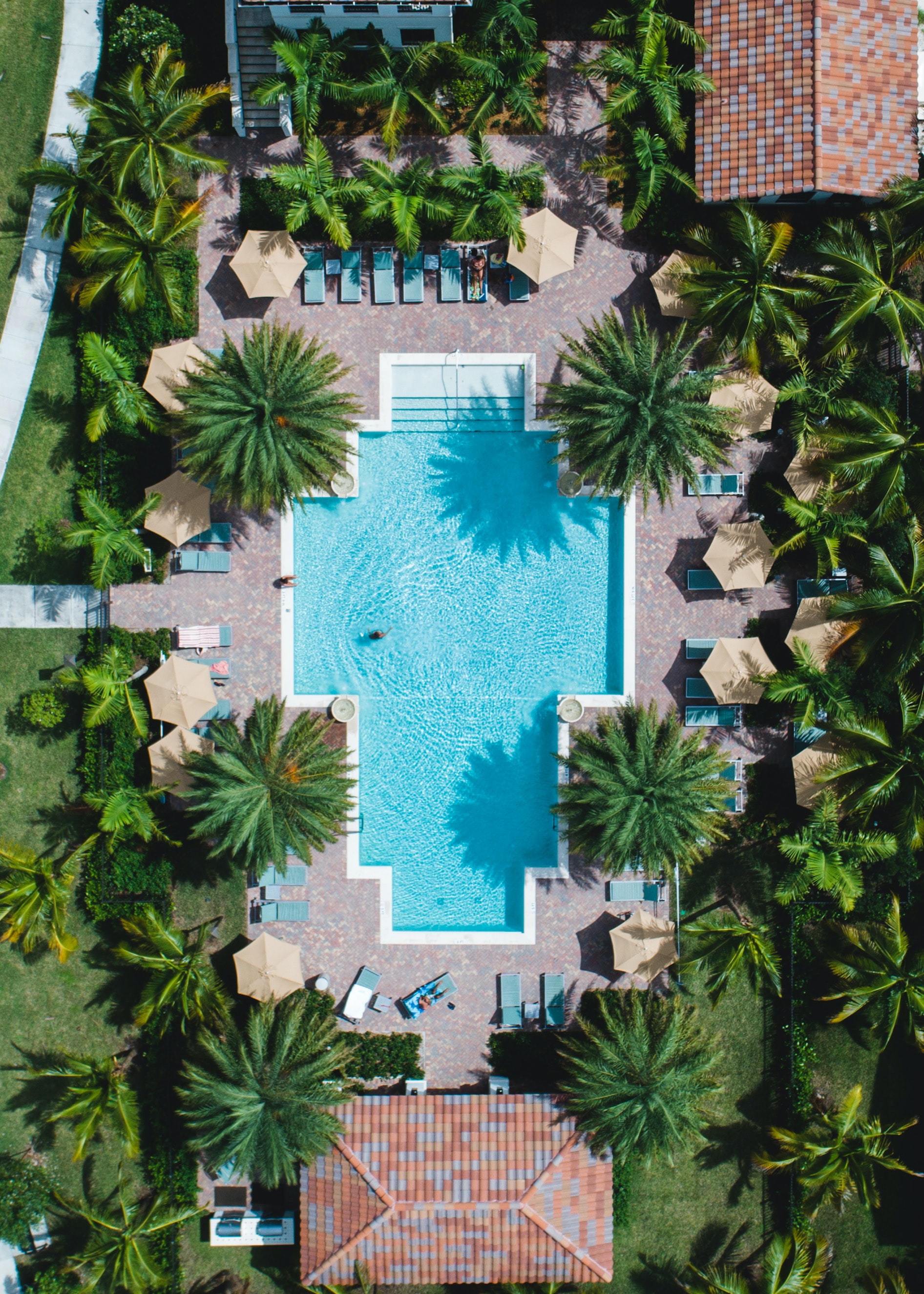 view from above, palms, pool, miscellanea, miscellaneous cellphone