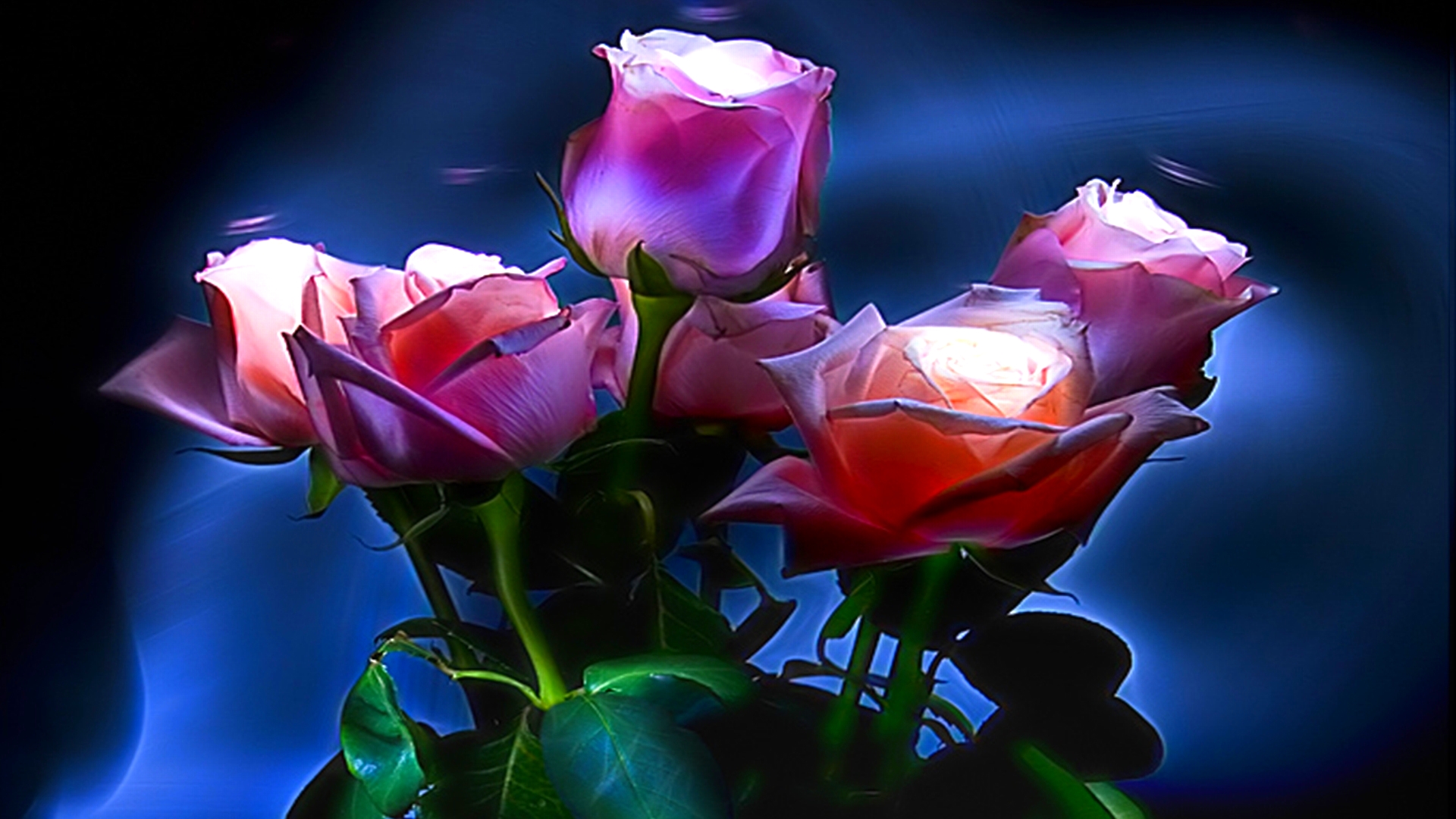 Free download wallpaper Flowers, Flower, Rose, Artistic on your PC desktop