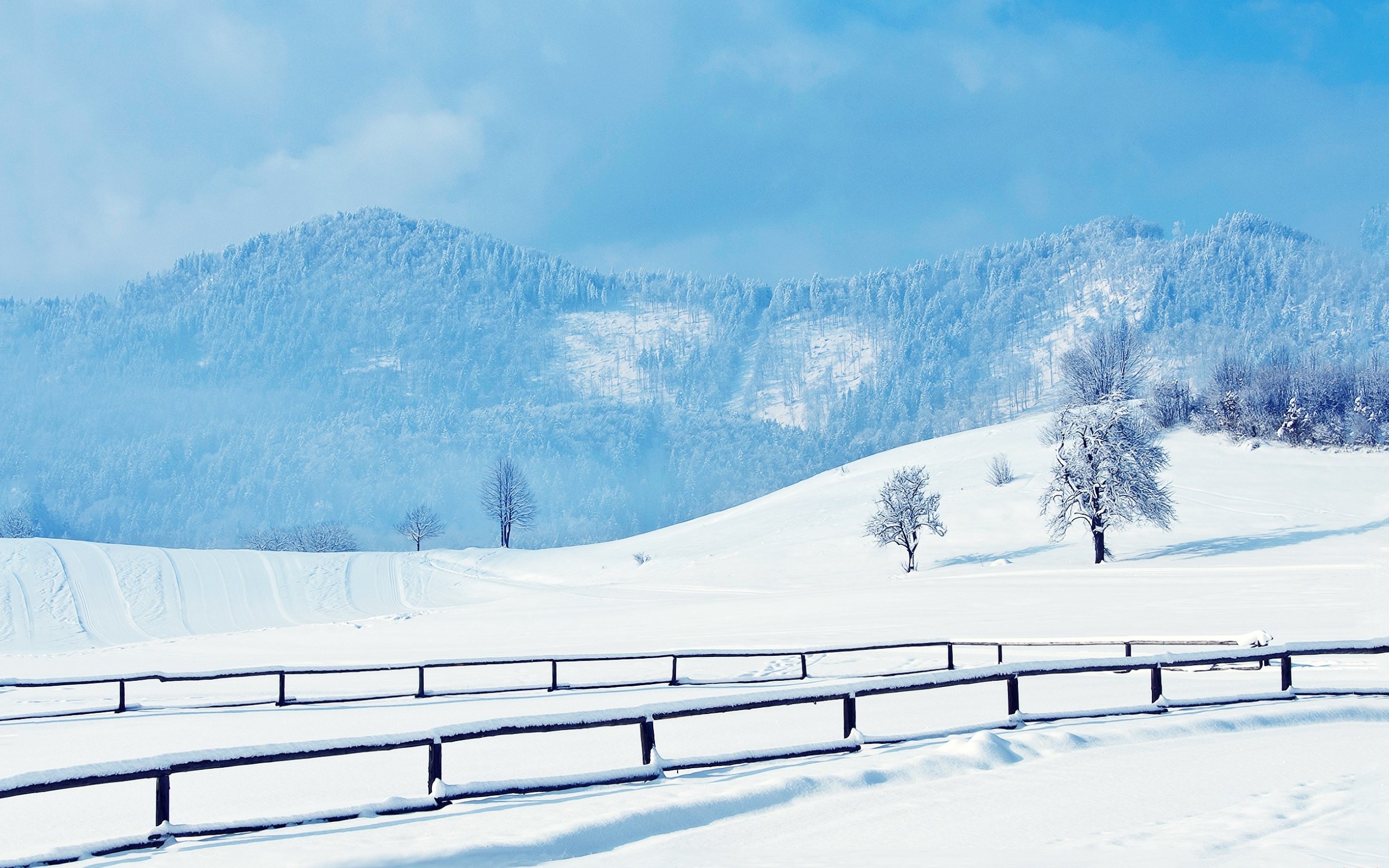 Téléchargez des papiers peints mobile Hiver, Terre/nature gratuitement.