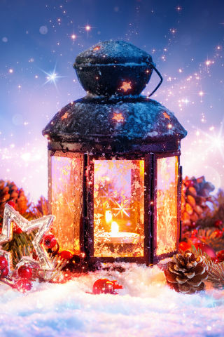 Download mobile wallpaper Christmas, Holiday, Lantern, Berry, Star, Pine Cone for free.