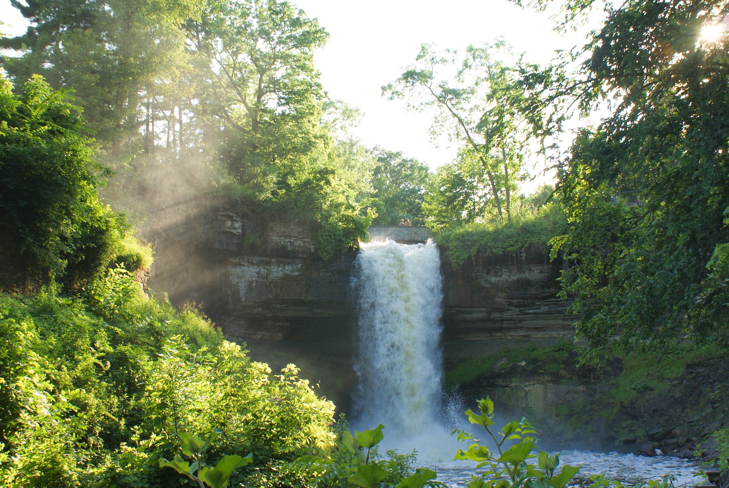 waterfall, nature, trees, summer, cascade cellphone