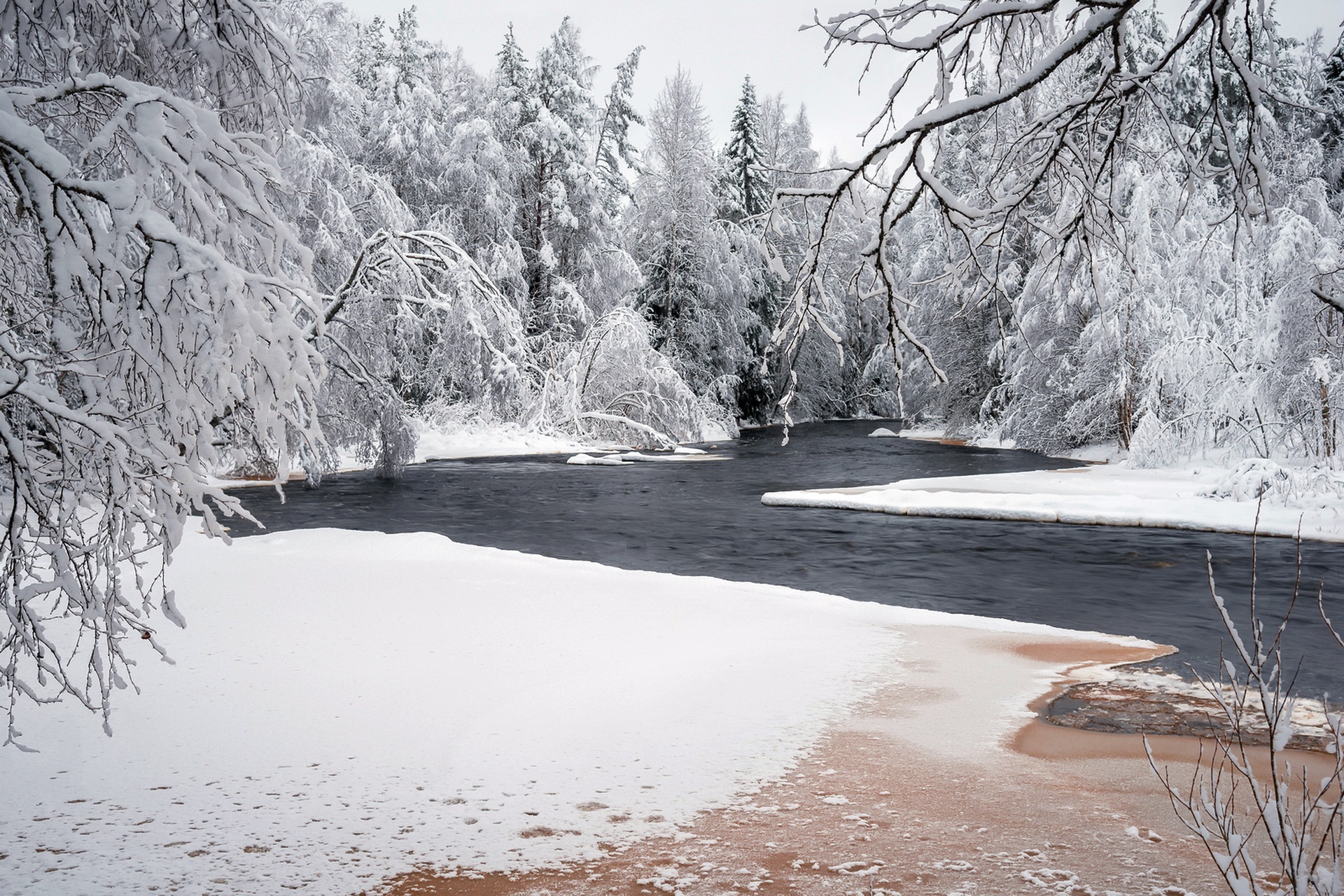 Скачать картинку Зима, Природа, Река, Снег, Дерево, Земля/природа в телефон бесплатно.
