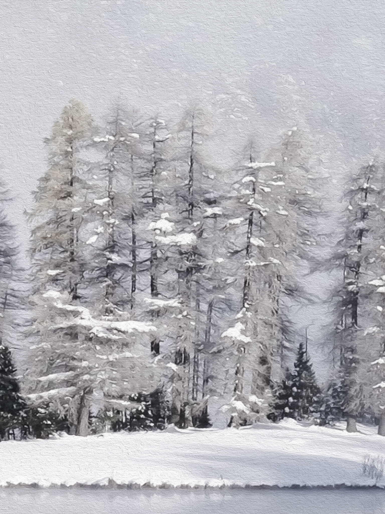 Handy-Wallpaper Winter, Schnee, Baum, Künstlerisch kostenlos herunterladen.