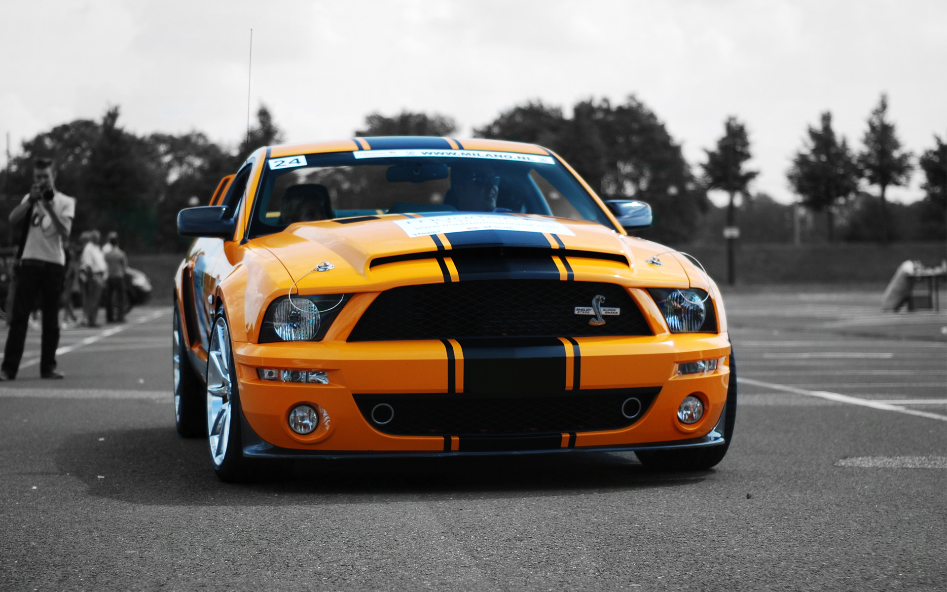 Free download wallpaper Ford Mustang, Vehicles on your PC desktop