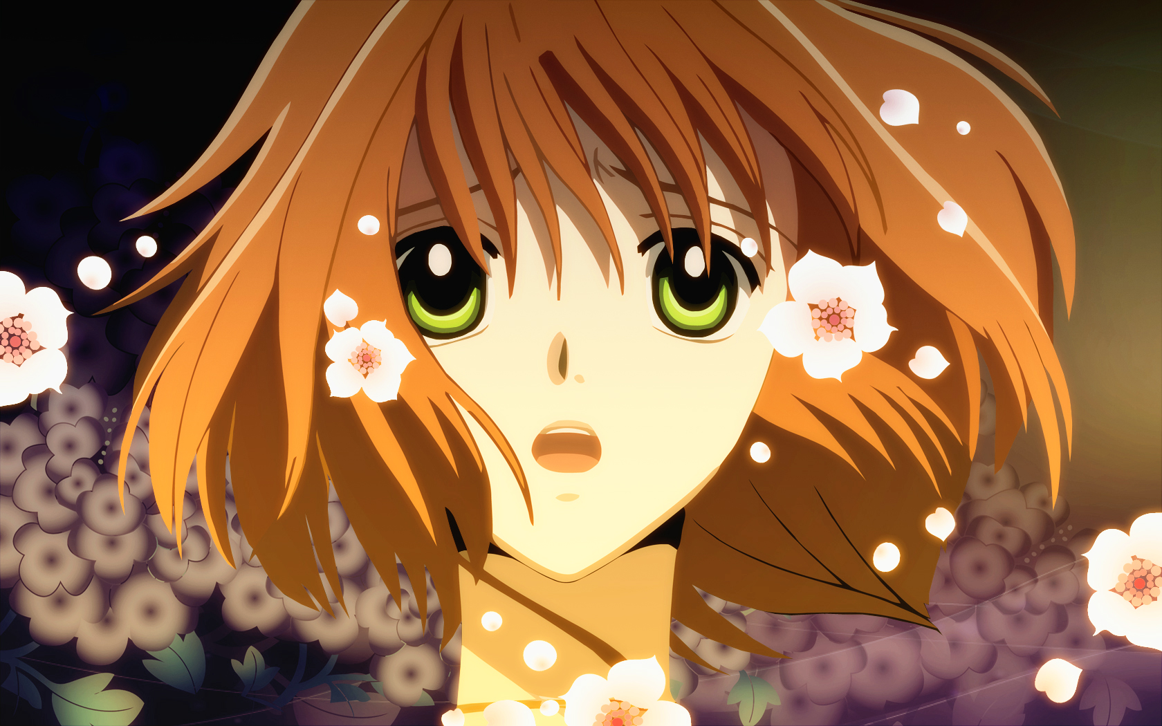 Download mobile wallpaper Anime, Tsubasa: Reservoir Chronicle for free.