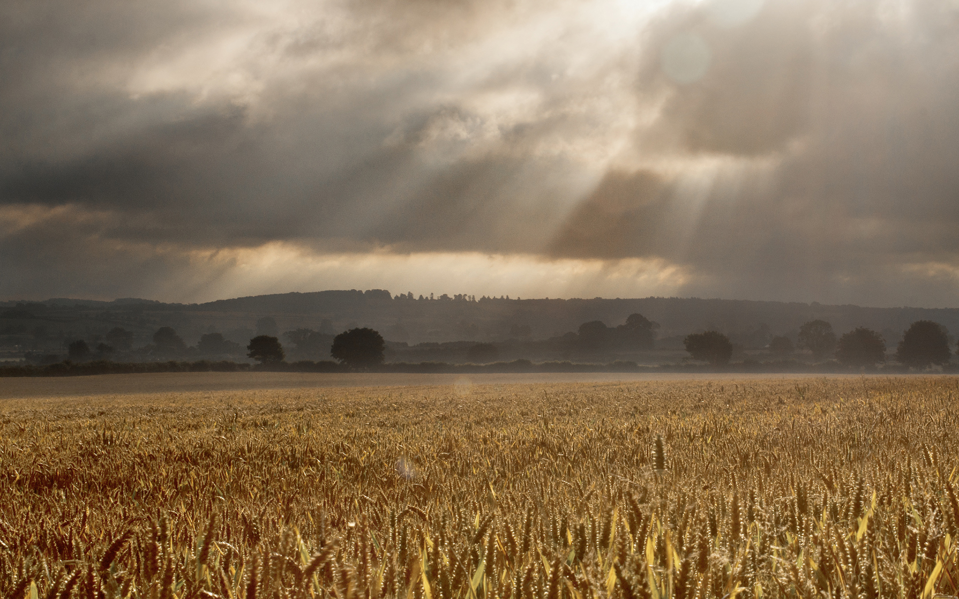 Download mobile wallpaper Earth, Field for free.