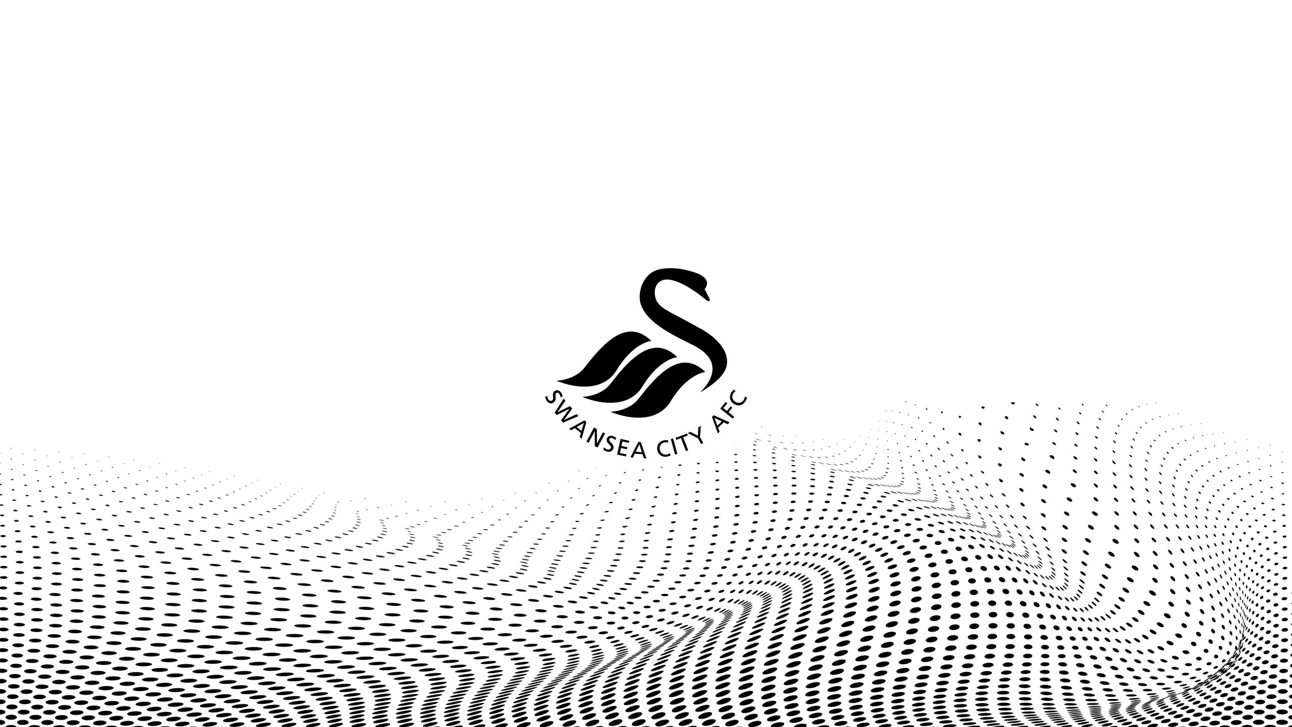 Die besten Swansea City Afc-Hintergründe für den Telefonbildschirm
