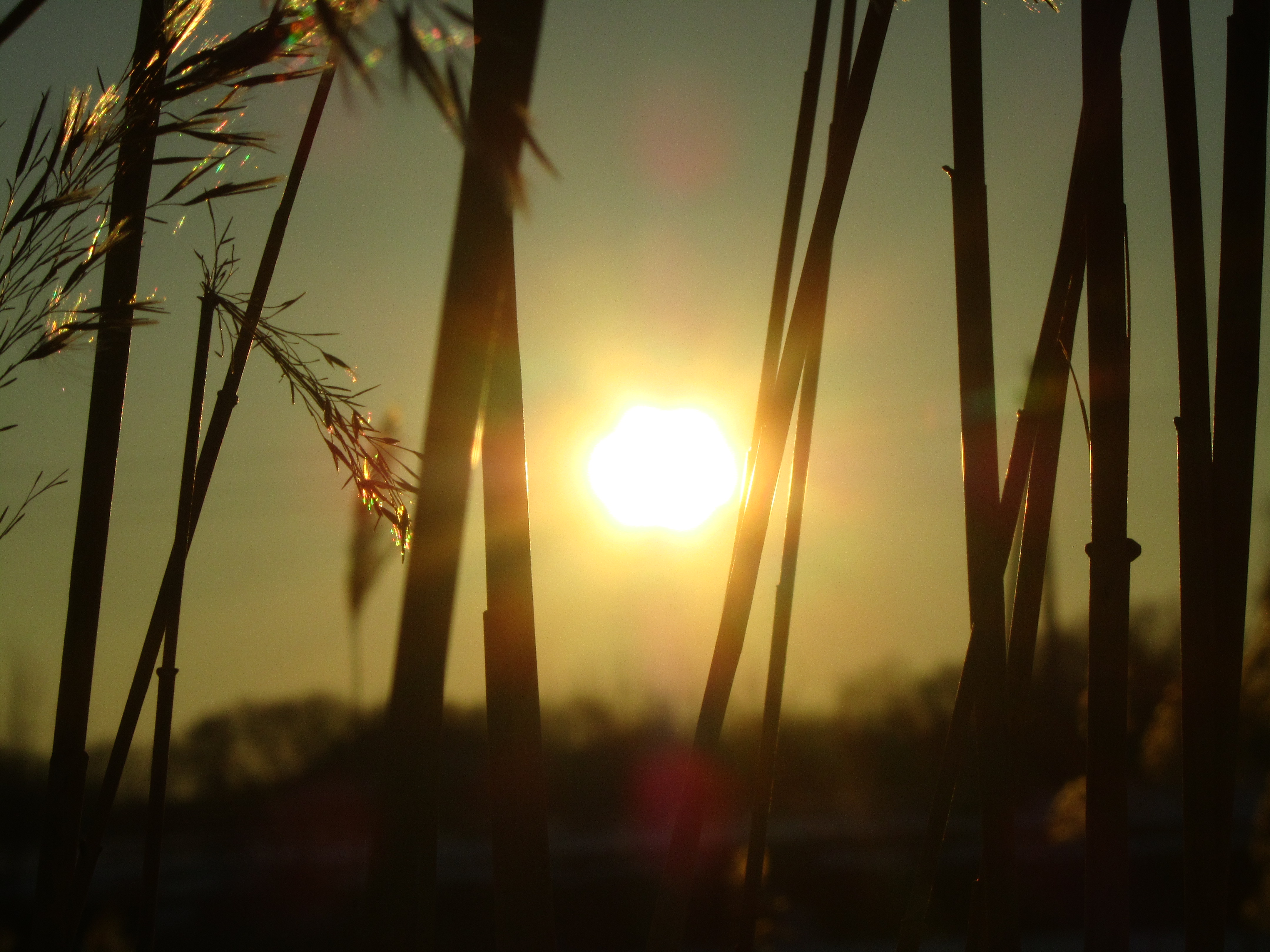 Free download wallpaper Earth, Sunbeam on your PC desktop