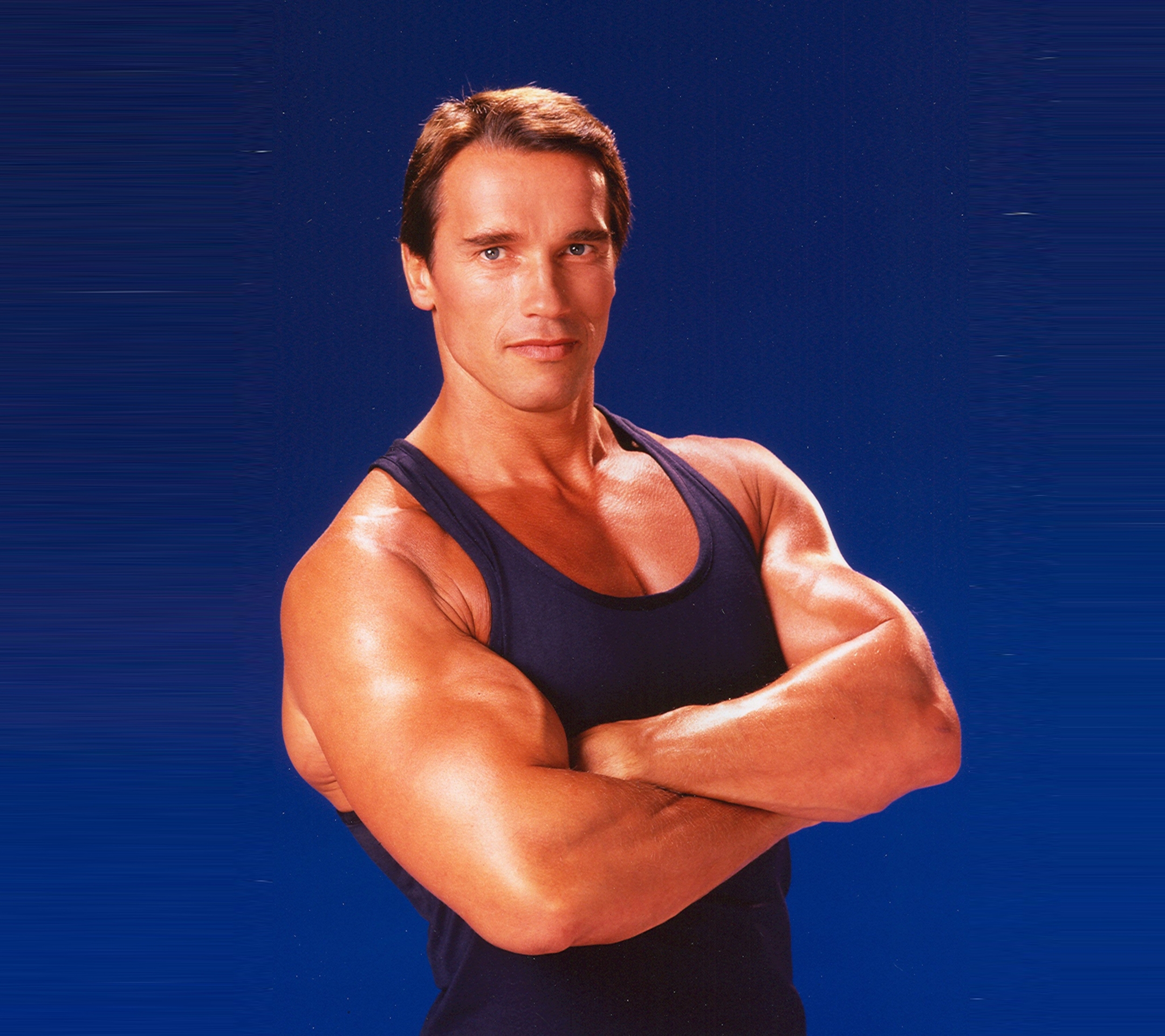 Download mobile wallpaper Arnold Schwarzenegger, Celebrity for free.