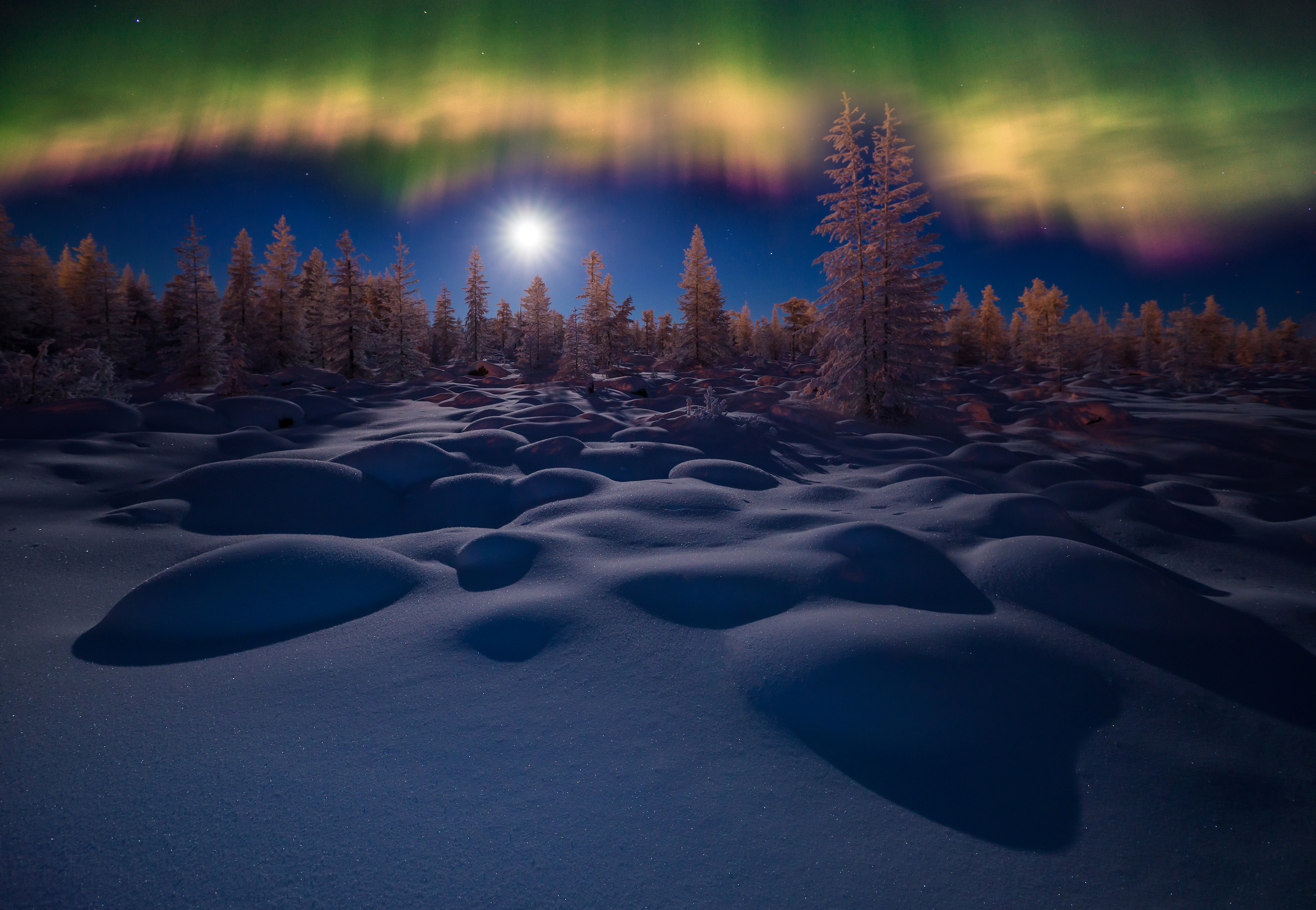 Download mobile wallpaper Winter, Nature, Sky, Night, Snow, Tree, Earth, Aurora Borealis for free.