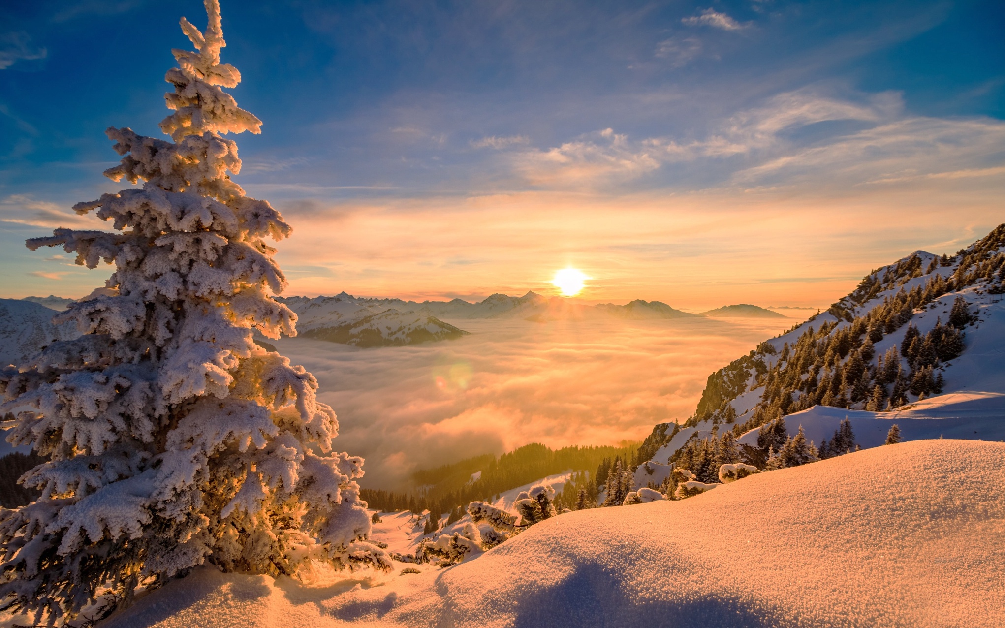 Download mobile wallpaper Landscape, Winter, Nature, Sky, Snow, Tree, Fog, Sunrise, Earth for free.