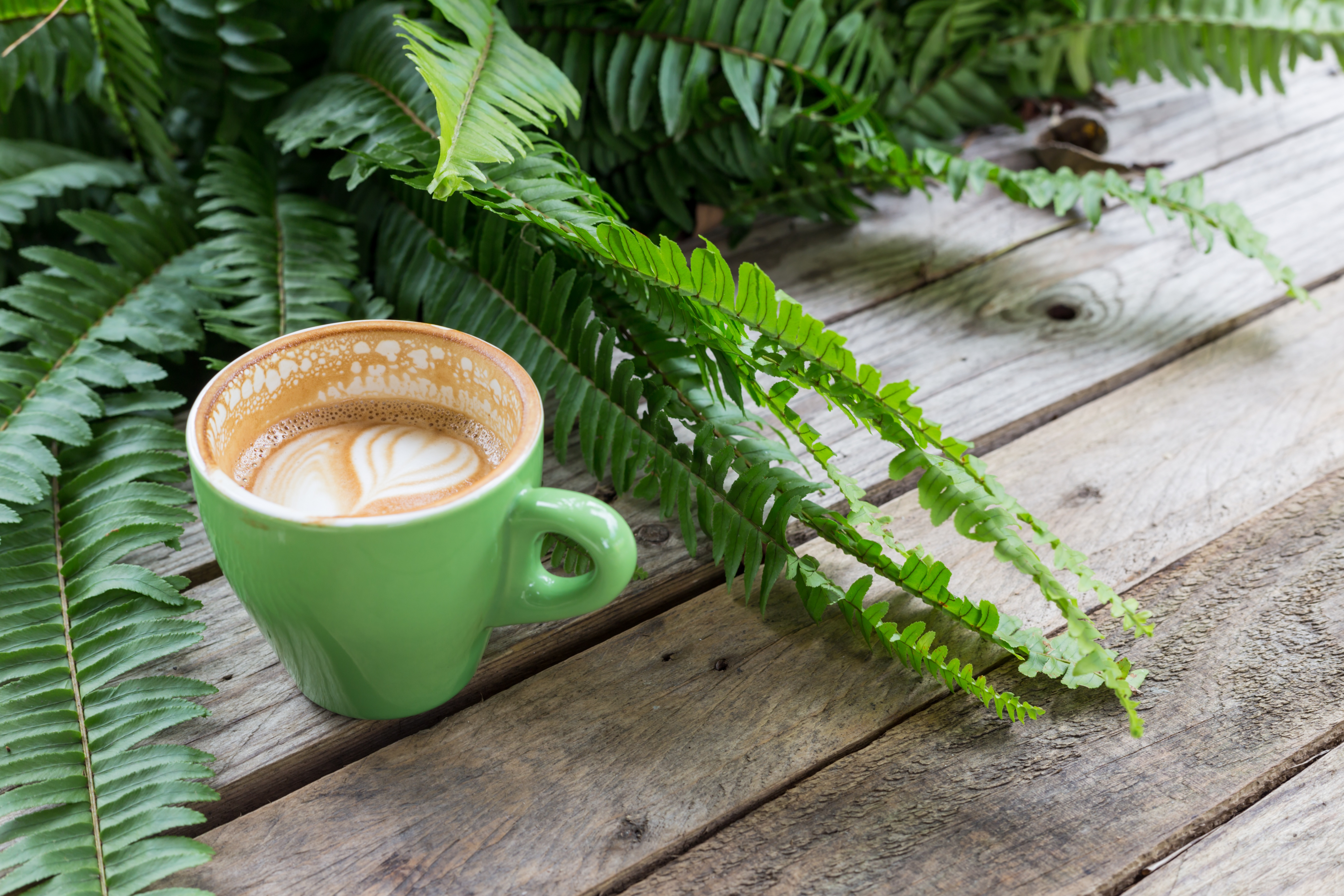 Descarga gratuita de fondo de pantalla para móvil de Café, Taza, Bebida, Alimento.