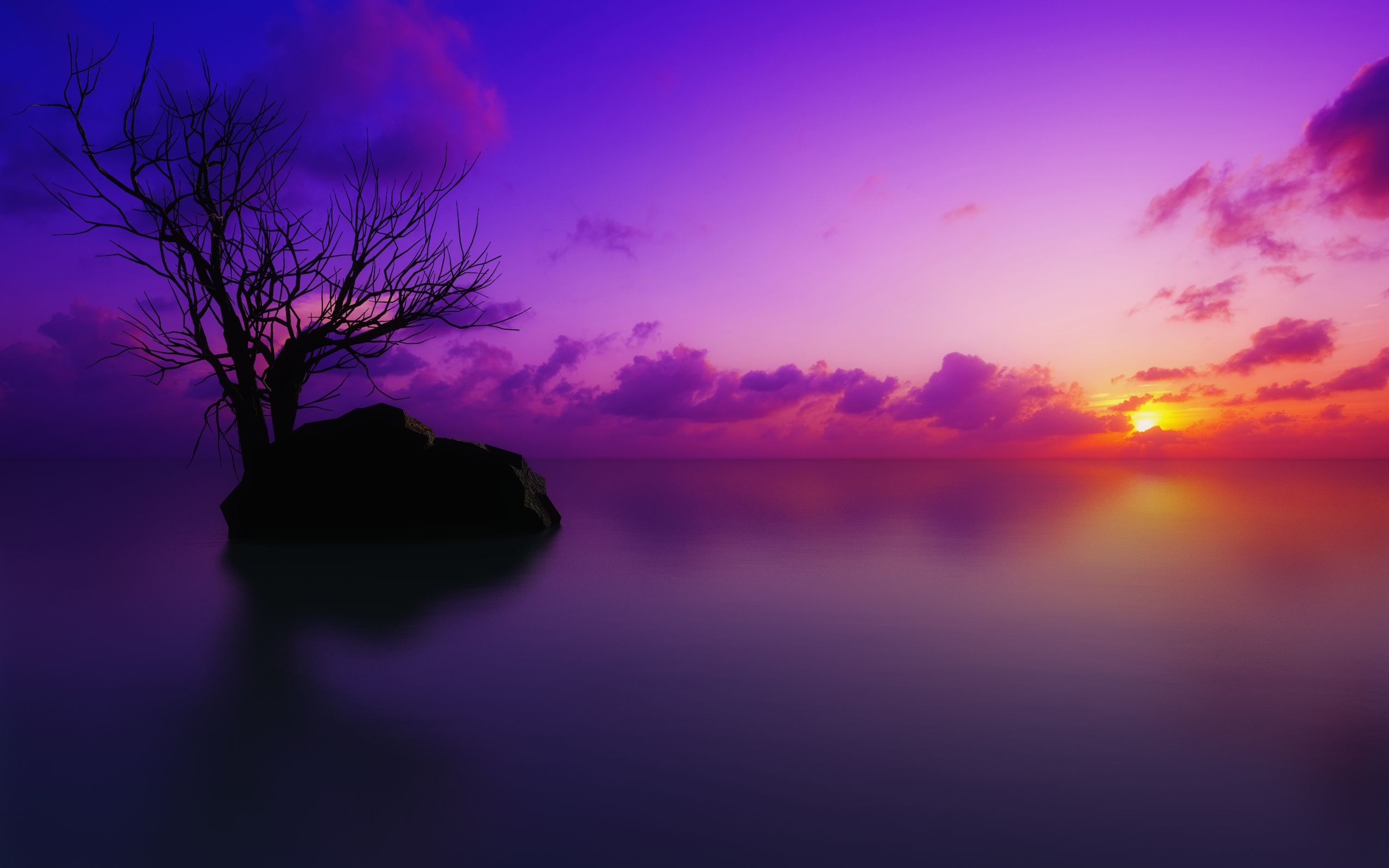184481画像をダウンロード日没, 海洋, 地球, 紫の, 風光明媚な, 木, クラウド, パステル-壁紙とスクリーンセーバーを無料で